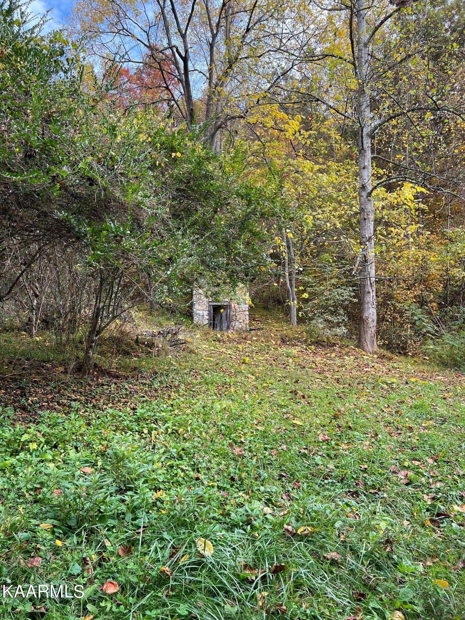 Corryton, TN 37721,8614/ 8620 Old Tazewell PIKE