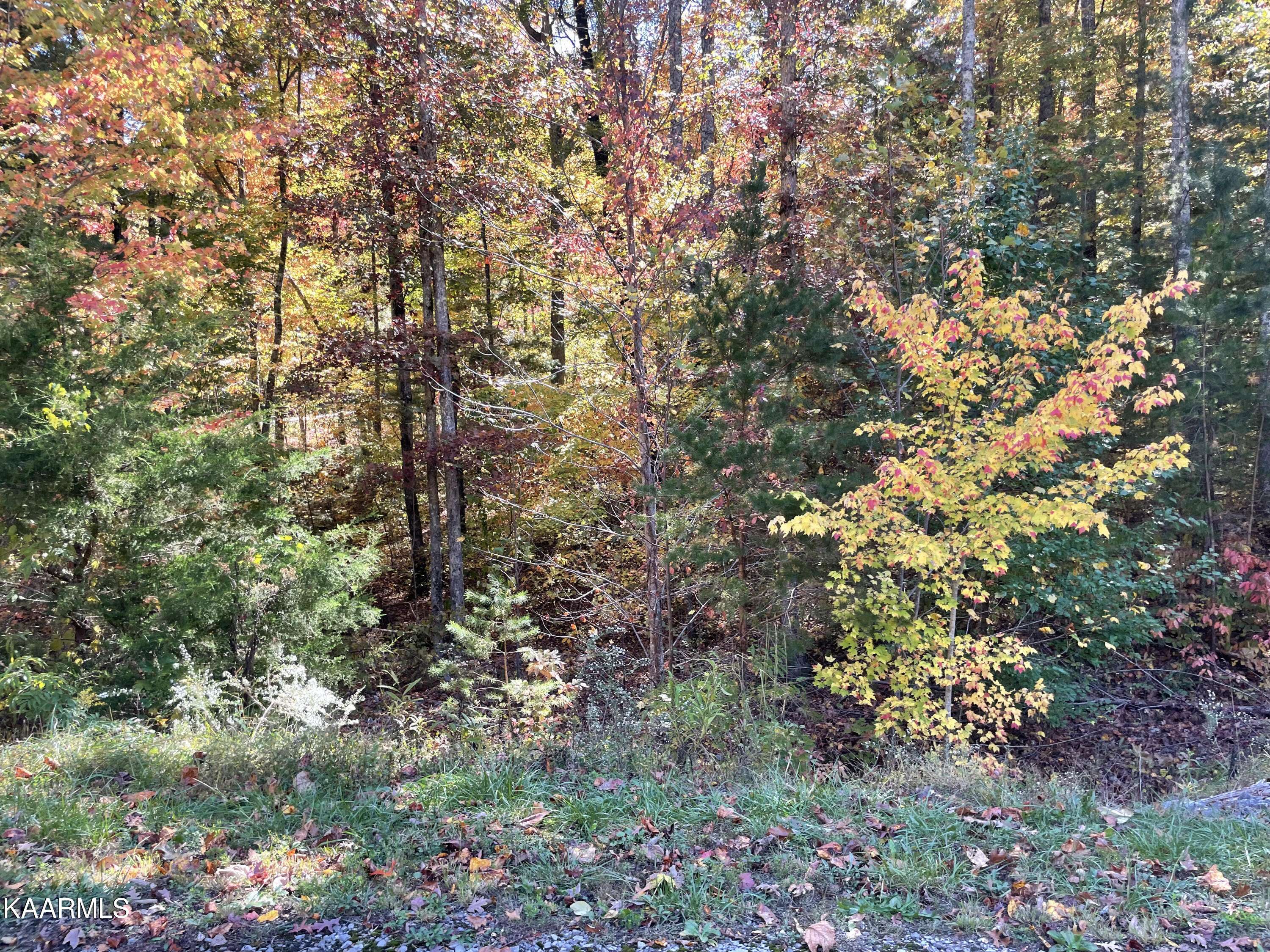 Walland, TN 37886,Lot 34W Long Rifle Rd