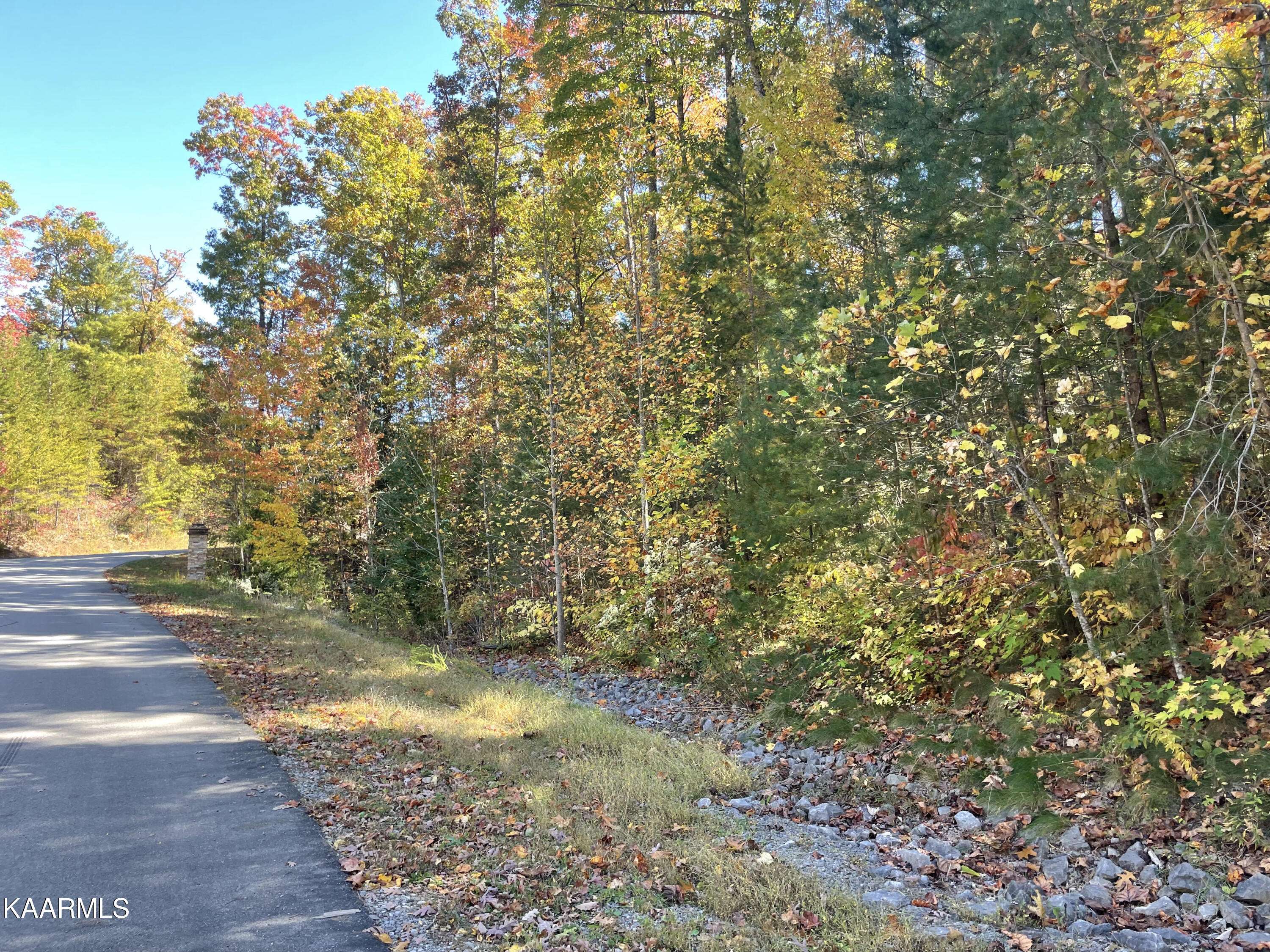 Walland, TN 37886,Lot 34W Long Rifle Rd