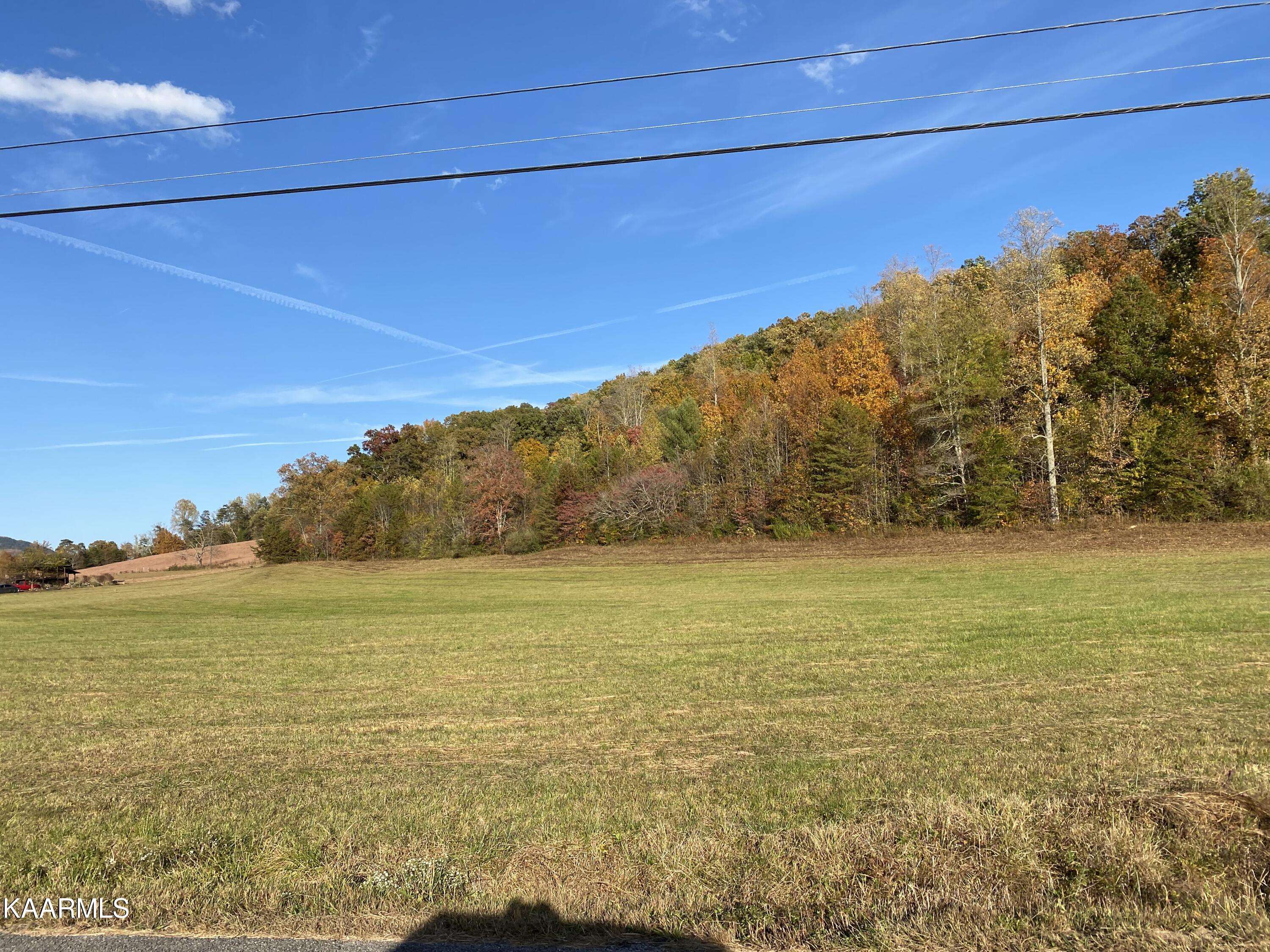 Tellico Plains, TN 37385,Belltown Rd