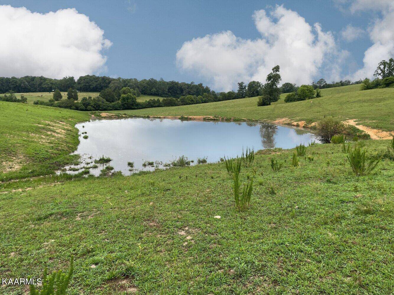 Philadelphia, TN 37846,00 Pond Creek Road