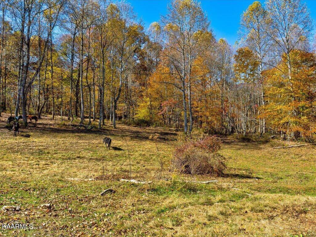 Rogersville, TN 37857,0 Richardson Creek Rd