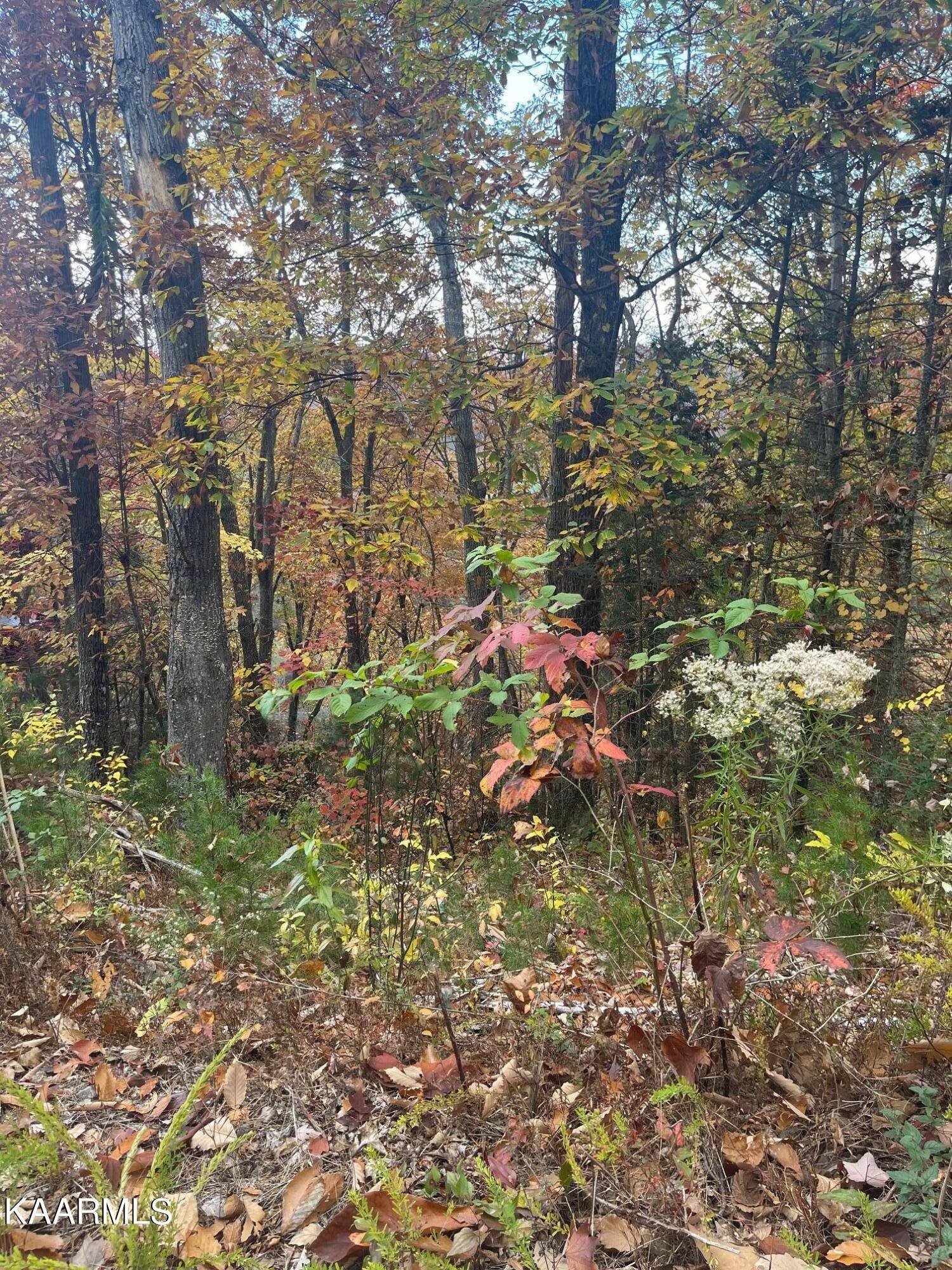 Sevierville, TN 37876,Ridgefield Drive, Lot 0968