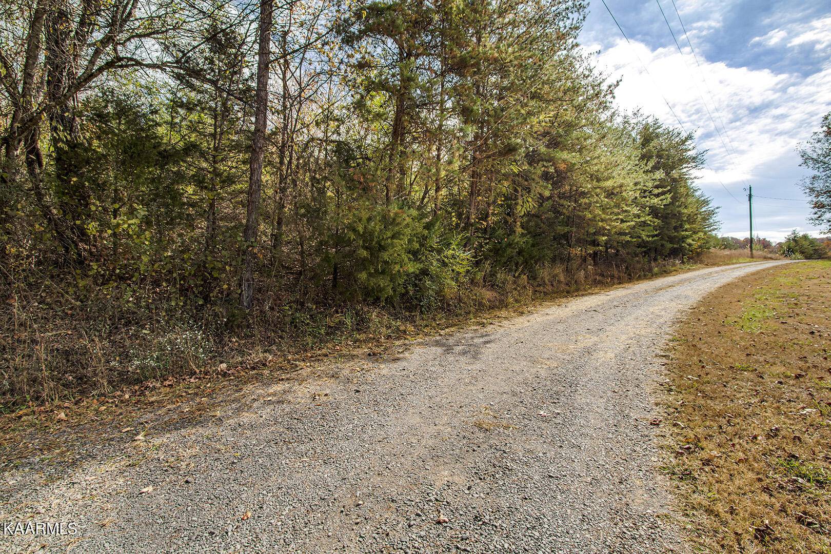 Tellico Plains, TN 37385,162 Williams Rd