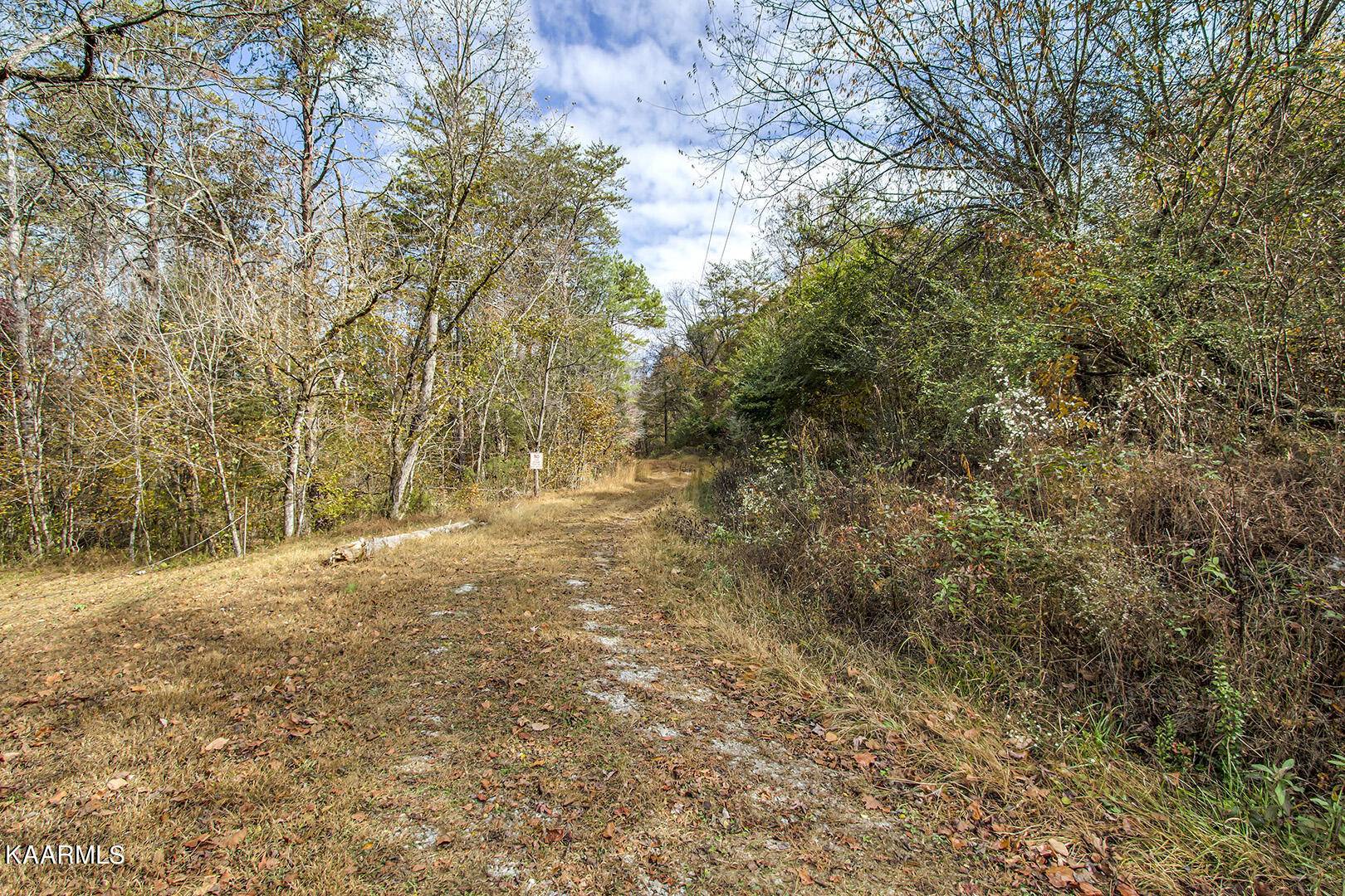 Tellico Plains, TN 37385,162 Williams Rd