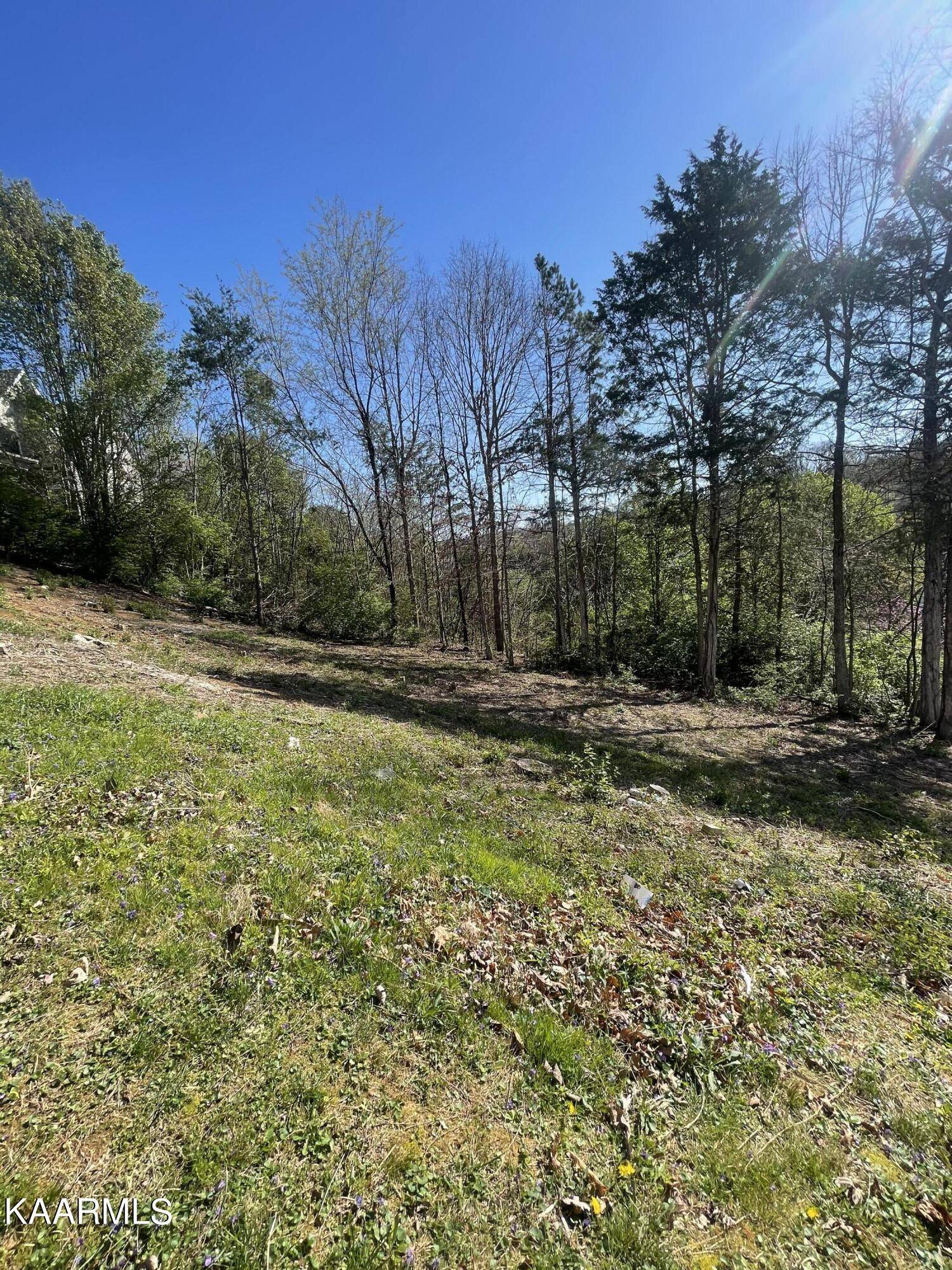 Knoxville, TN 37909,1948 Winter Winds LN