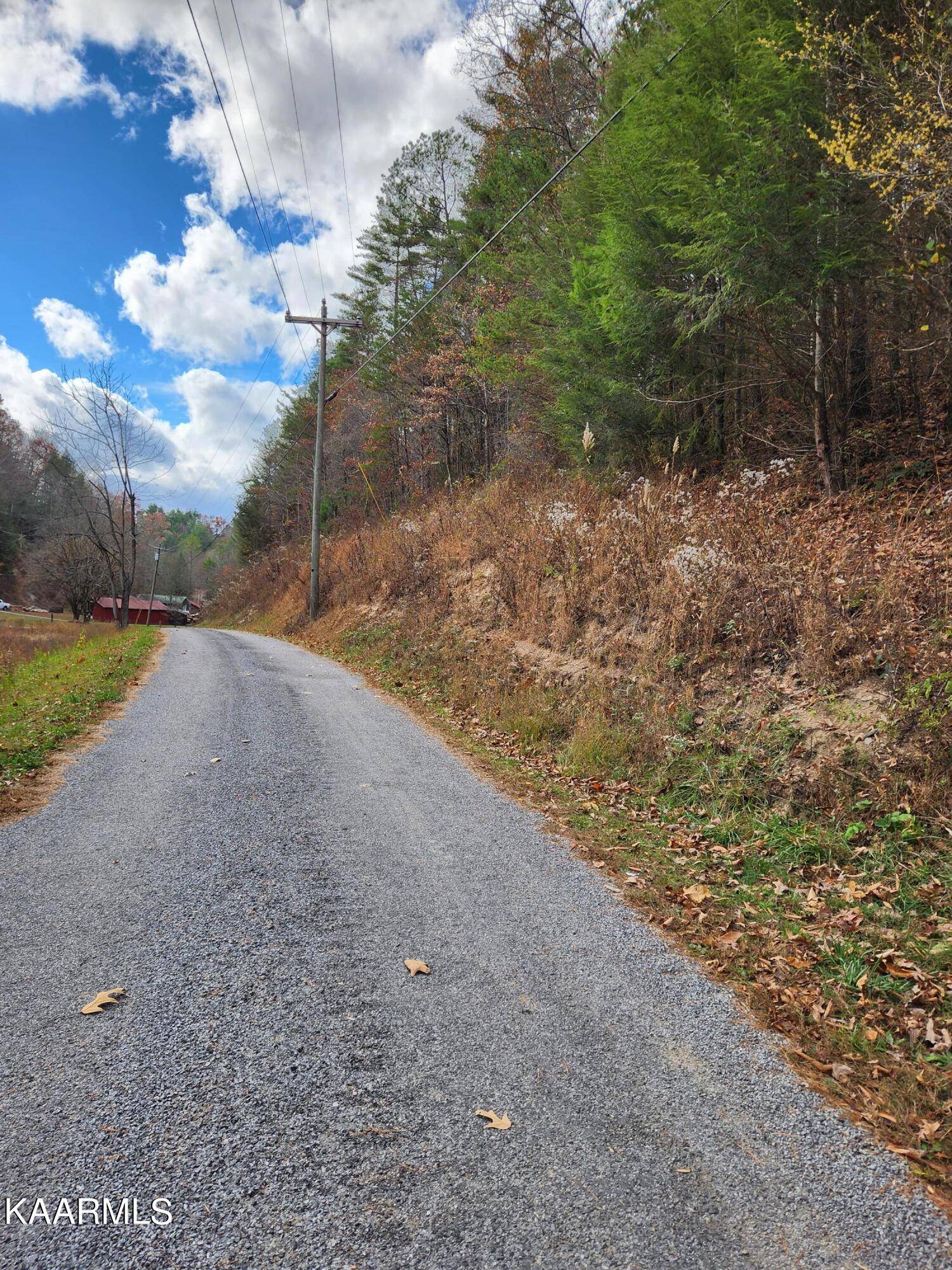 Tellico Plains, TN 37385,288 Oosterneck Rd