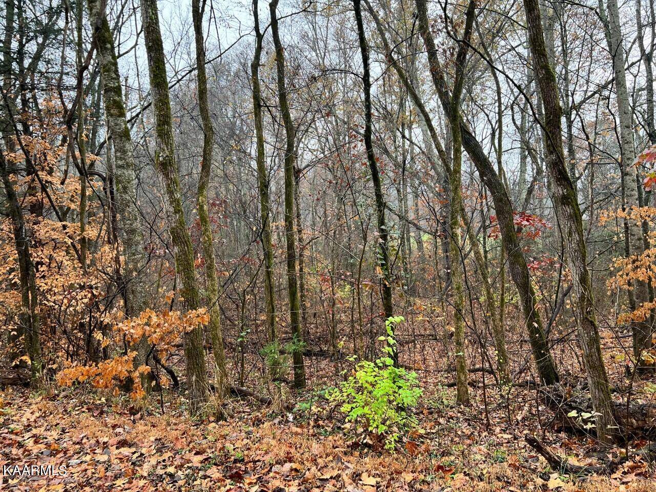 Decatur, TN 37322,Lot 2 Butler Rd