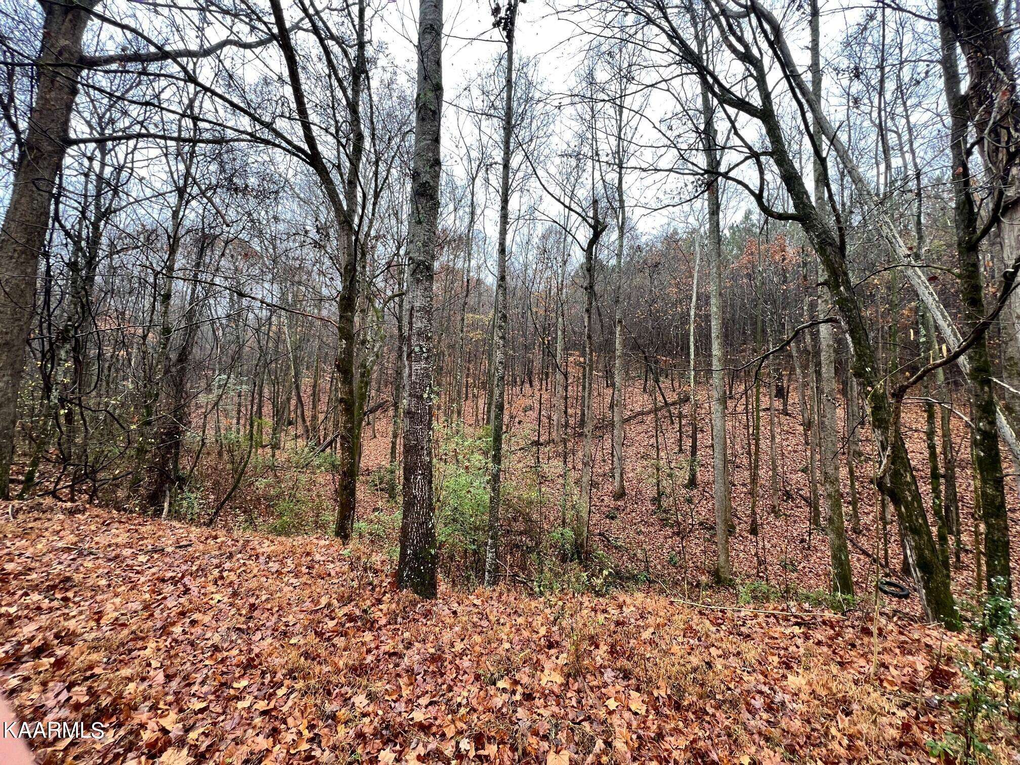 Decatur, TN 37322,Lot 9N Rayl Hollow