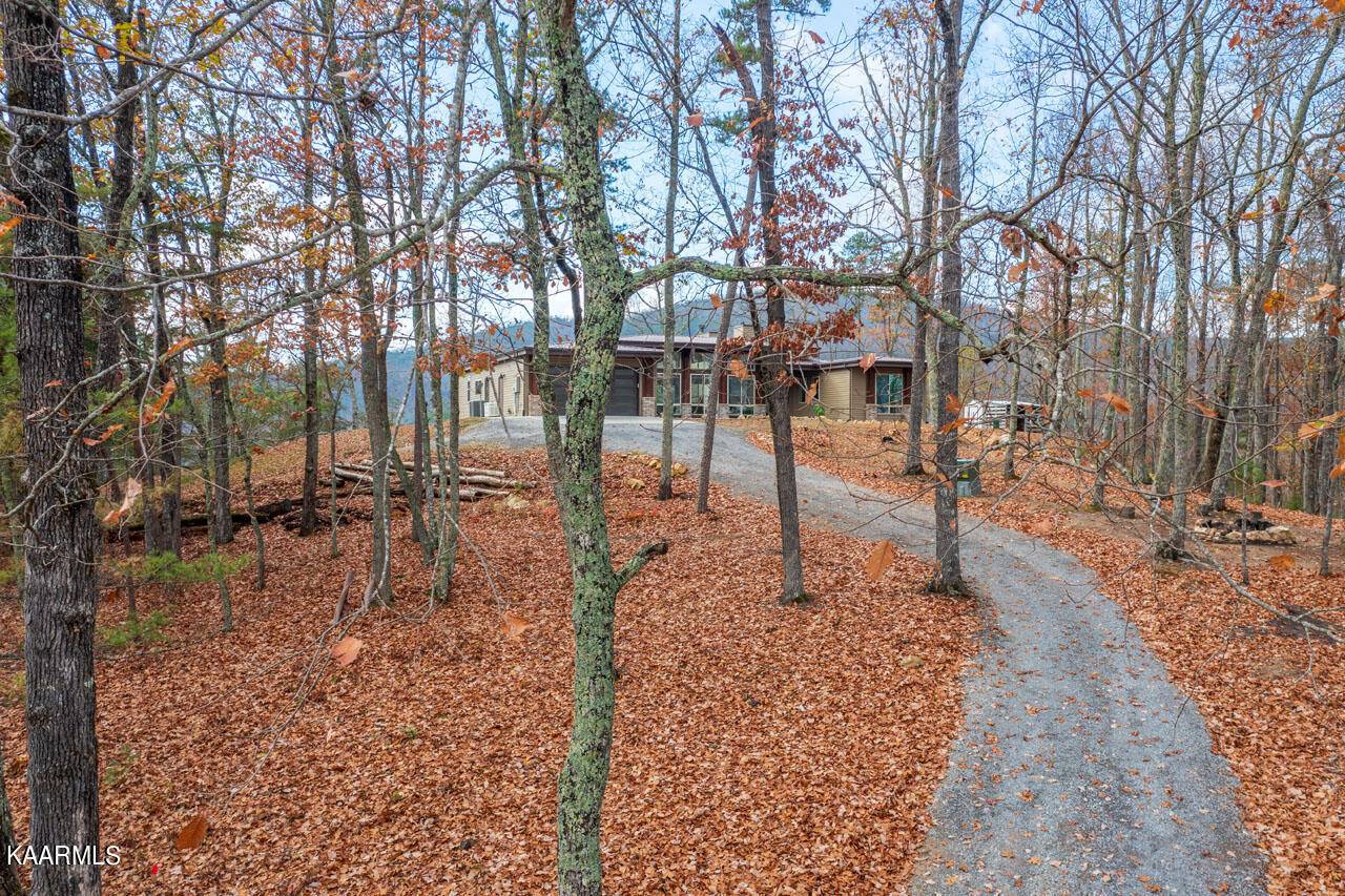 Tellico Plains, TN 37385,980 Dry Creek Rd