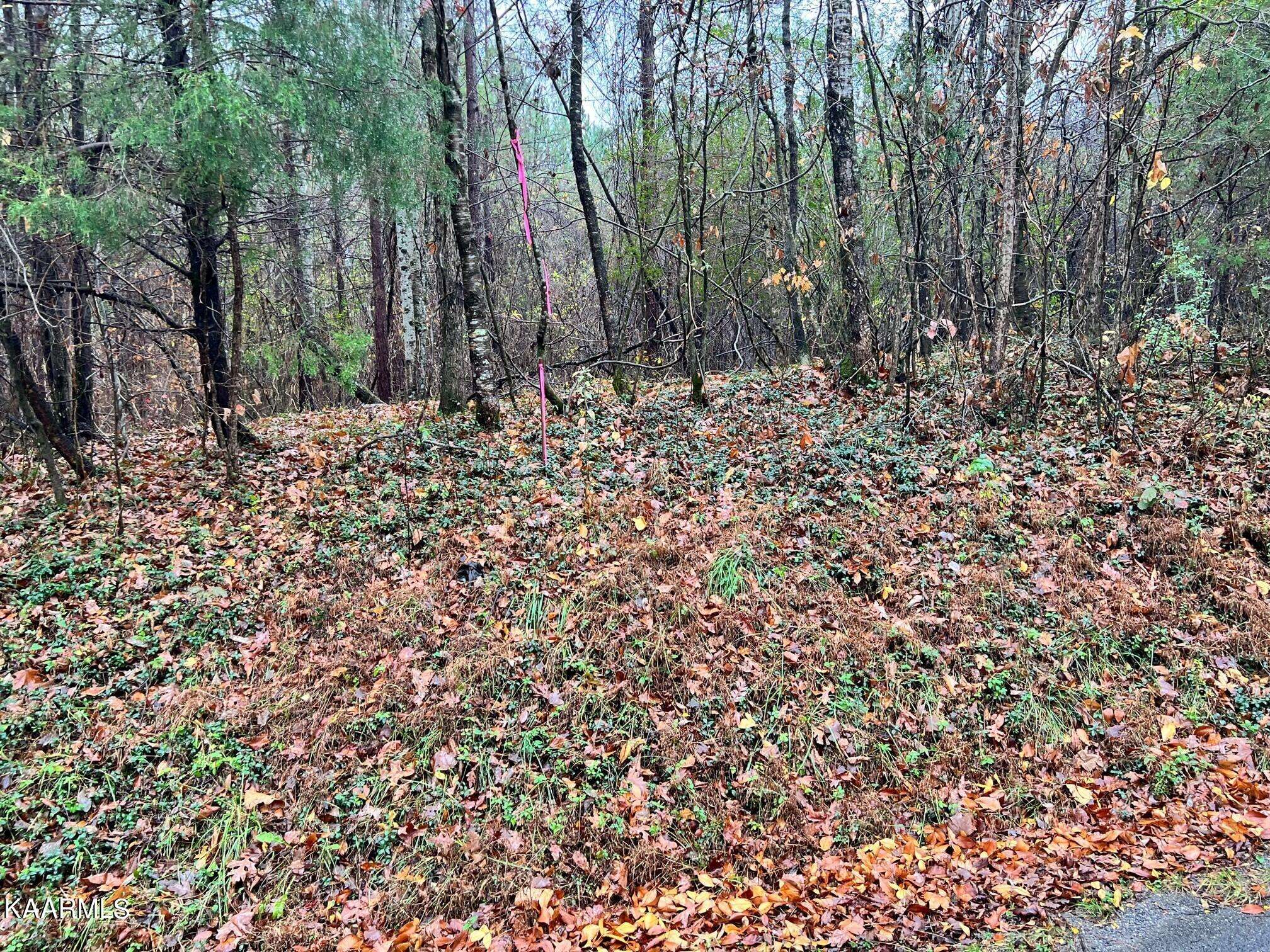 Decatur, TN 37322,Lot 6R Rayl Hollow