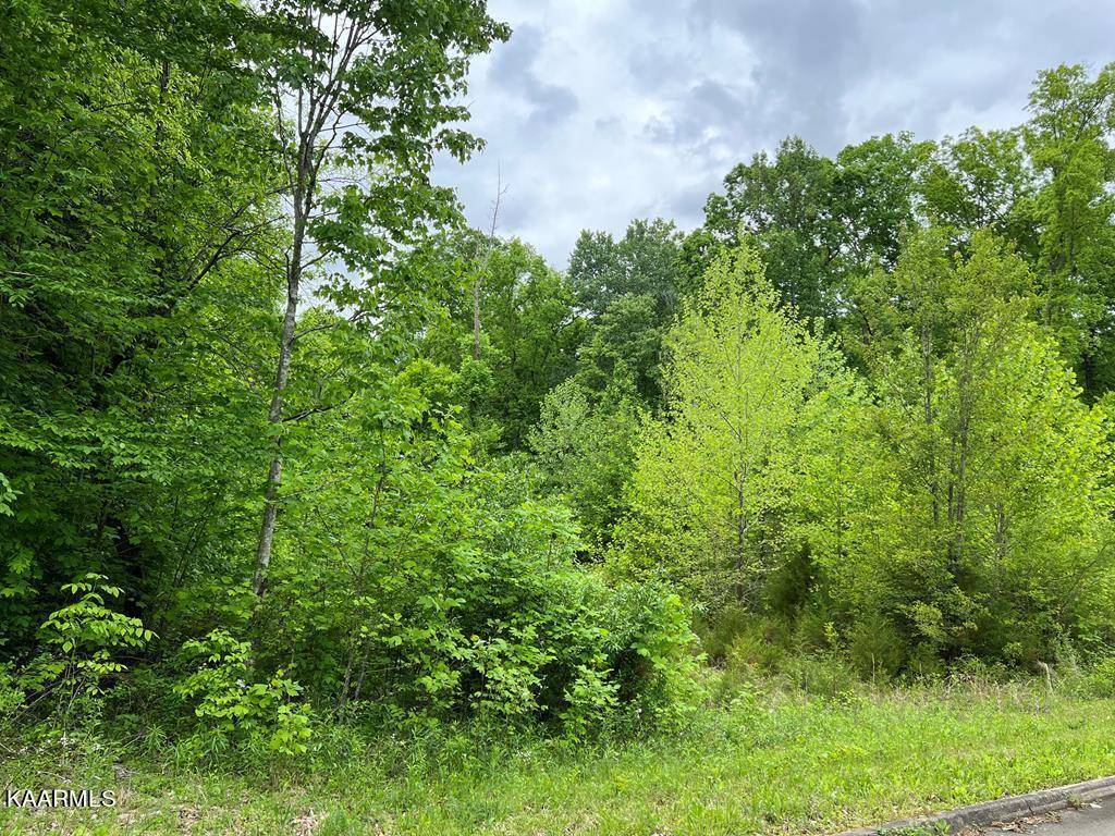 Dandridge, TN 37725,Tom Patterson Trail