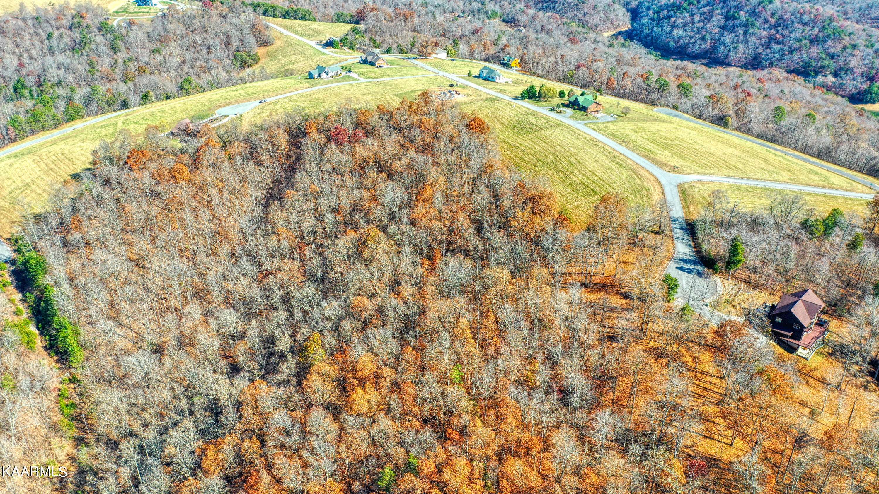 New Tazewell, TN 37825,Alabaster CT