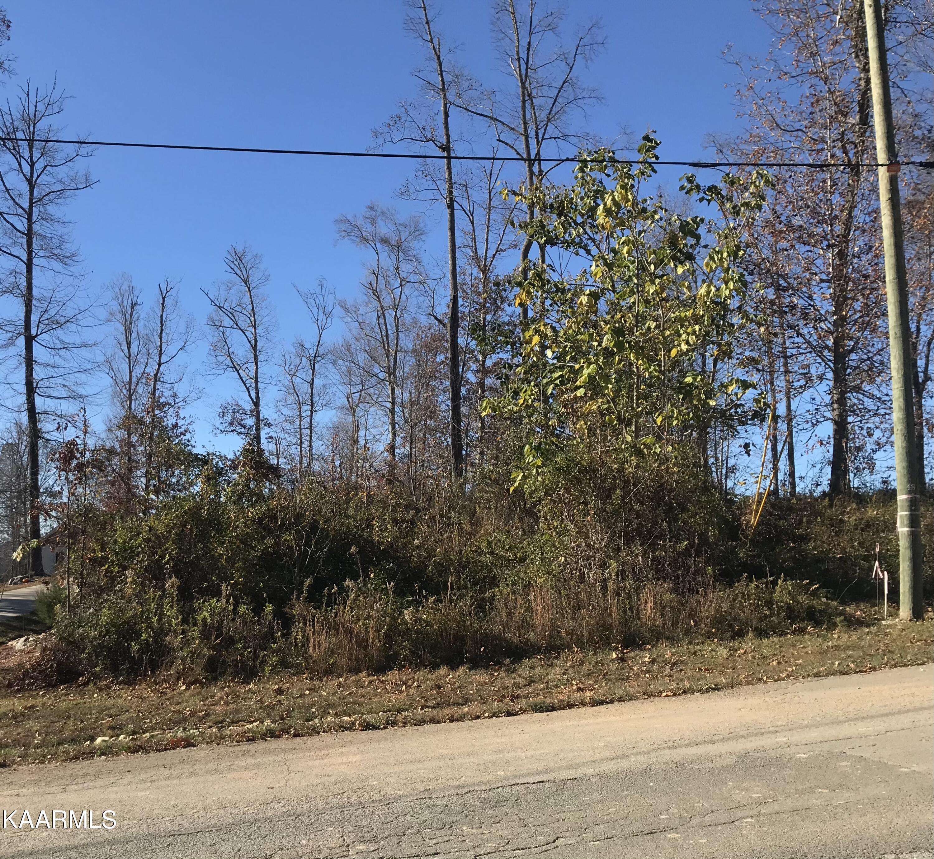 Maynardville, TN 37807,Lot 112A Hickory Pointe Lane