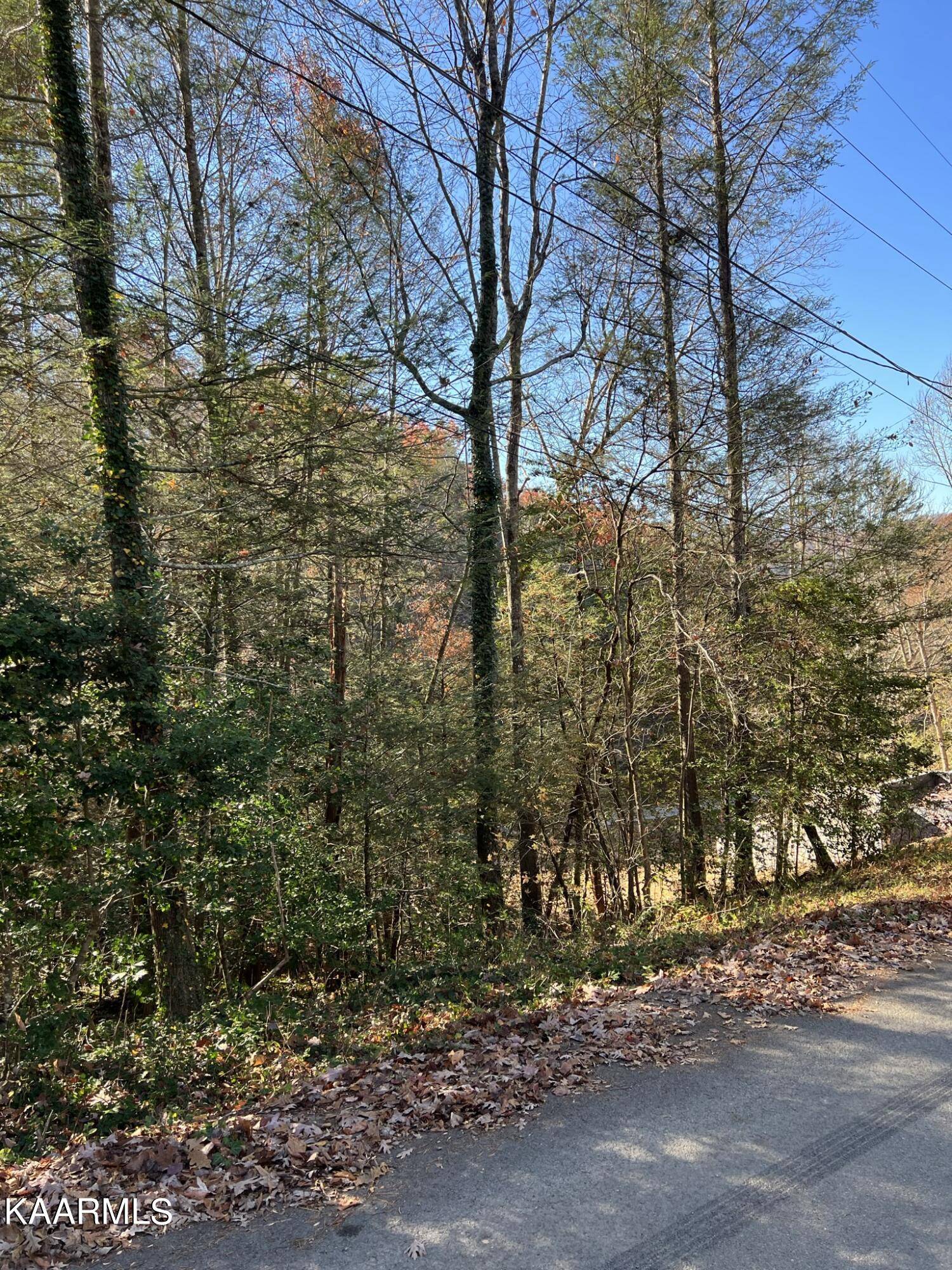 Gatlinburg, TN 37738,Lot 4 Reba Lane