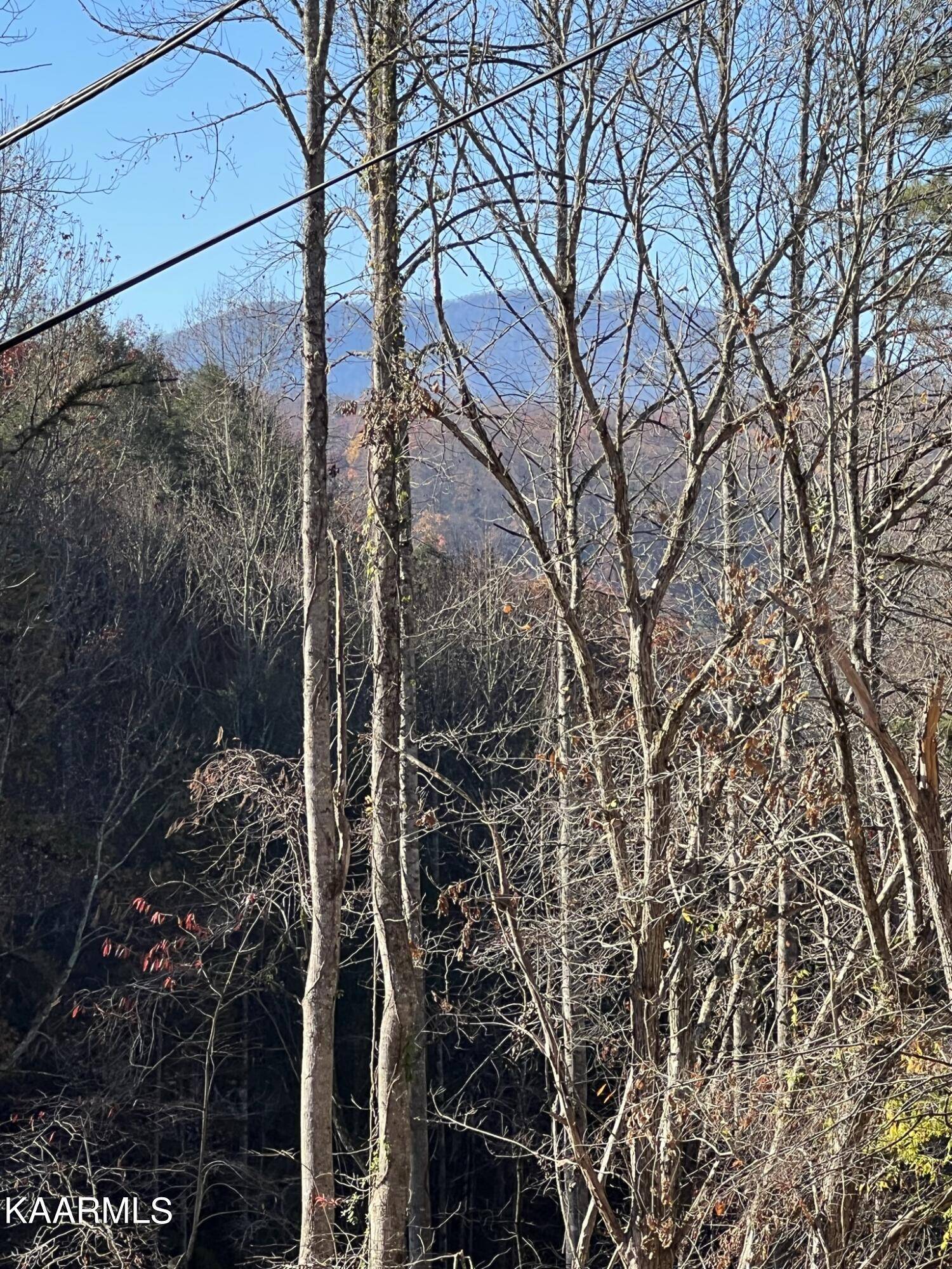 Gatlinburg, TN 37738,Lot 4 Reba Lane