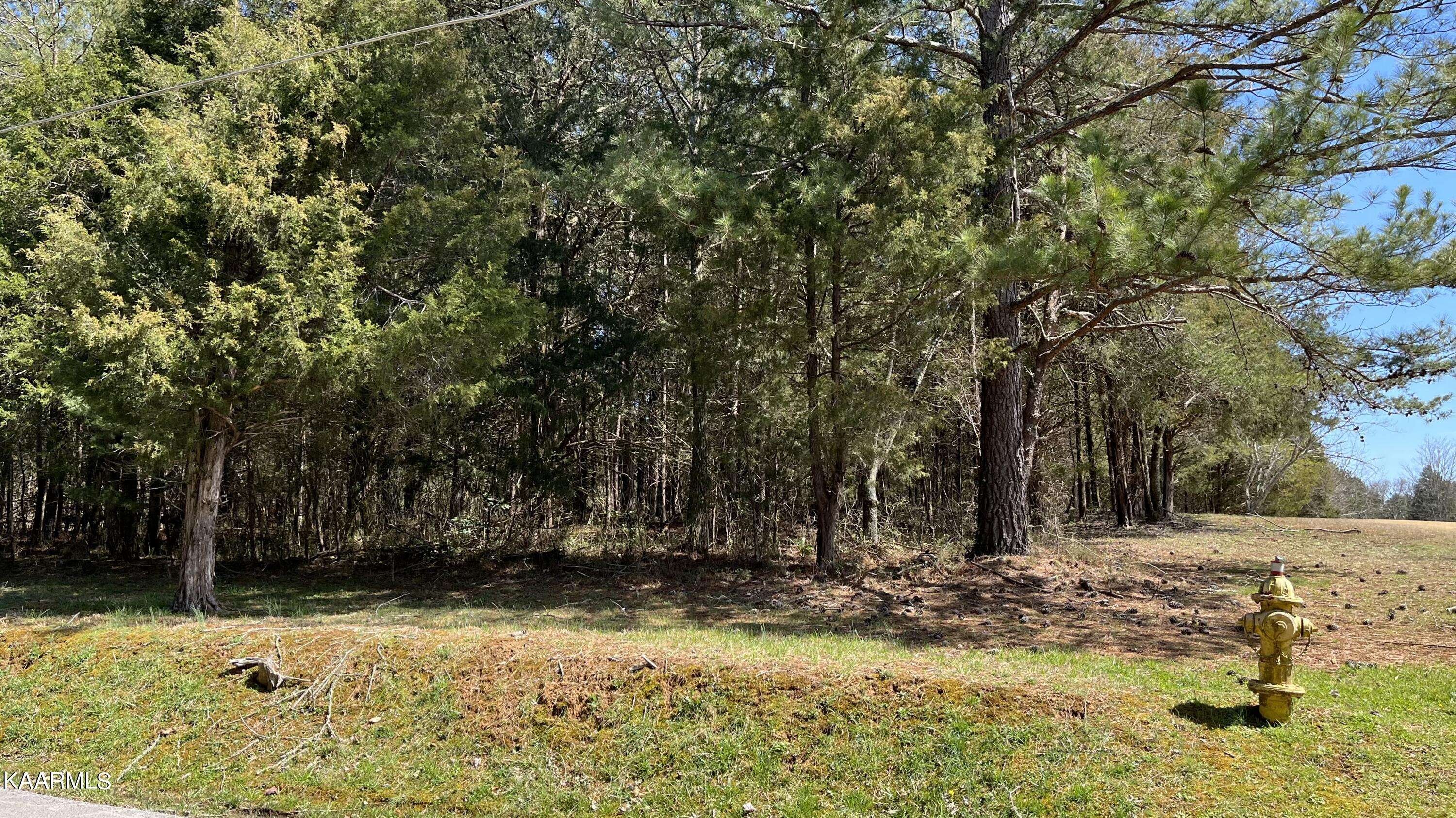 Rockwood, TN 37854,Lot 35 Loch Haven Rd