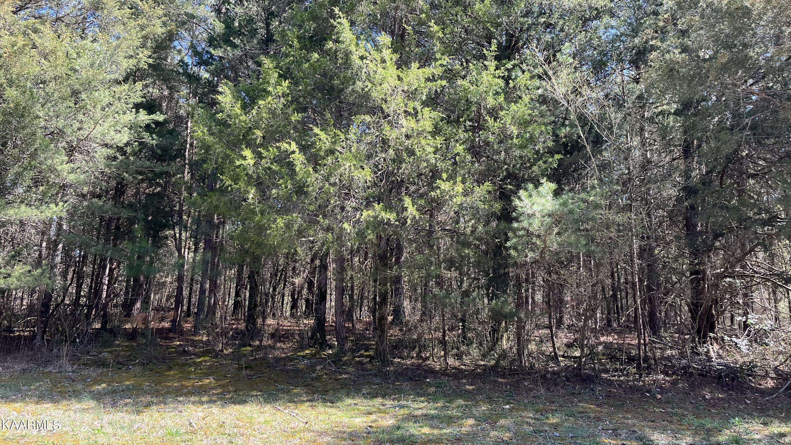 Rockwood, TN 37854,Lot 35 Loch Haven Rd