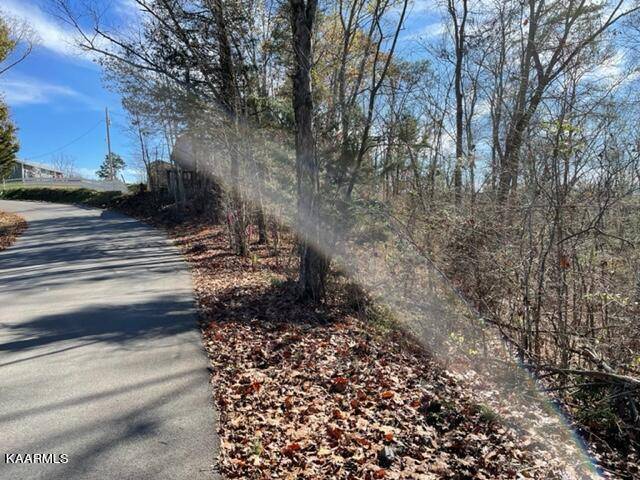 Sevierville, TN 37876,Happy Hollow Ln Lot 72