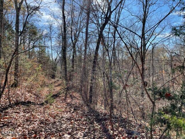 Sevierville, TN 37876,Happy Hollow Ln Lot 72