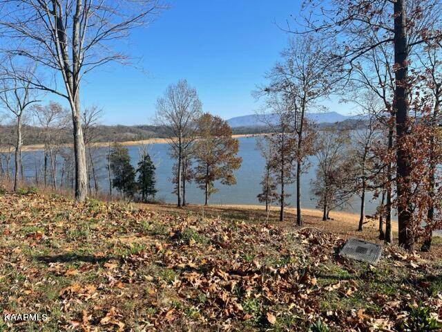 Dandridge, TN 37725,Lot 99 Majestic CIR