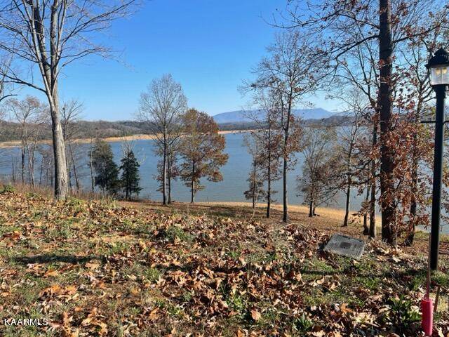 Dandridge, TN 37725,Lot 99 Majestic CIR