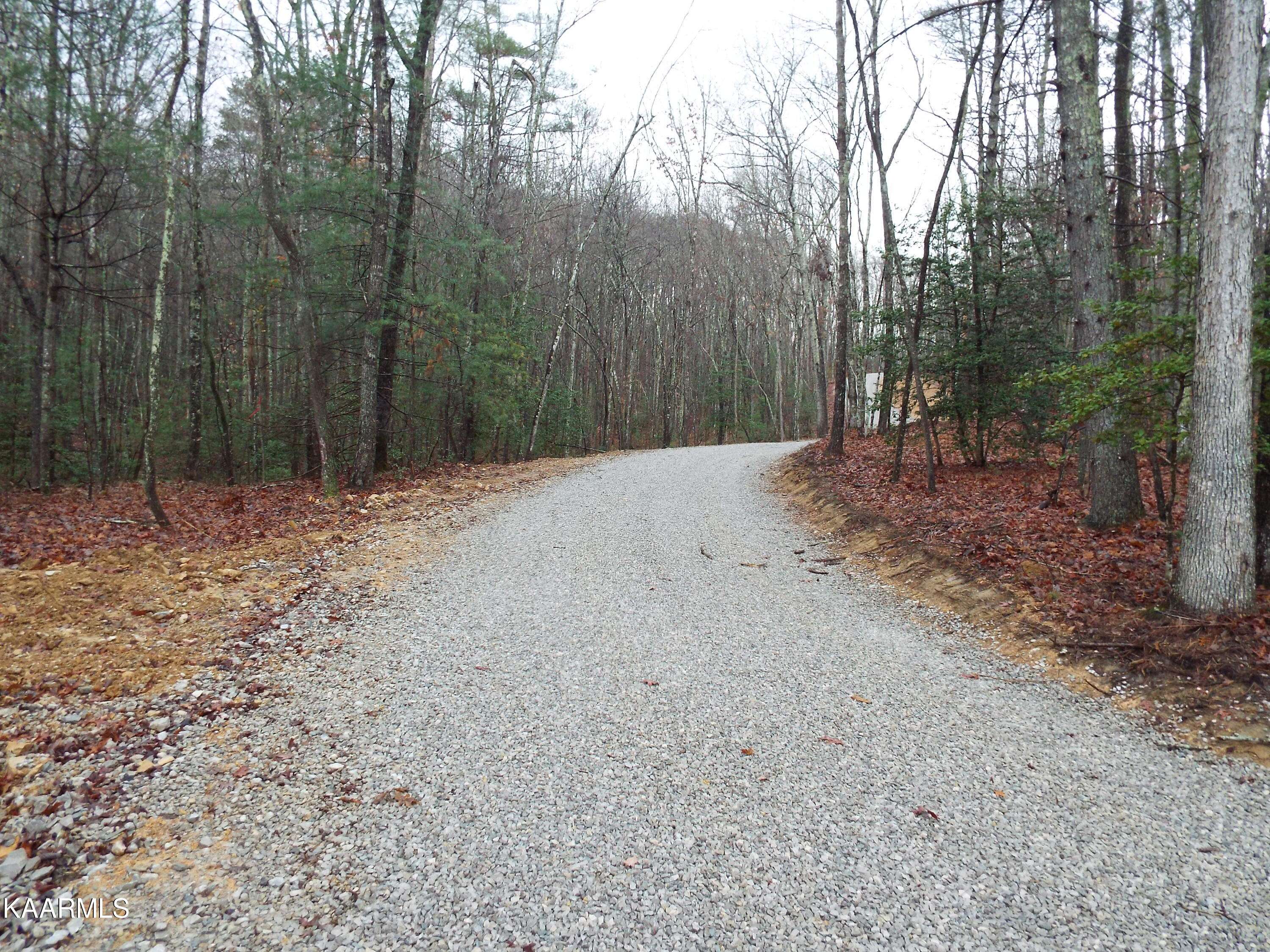 Lancing, TN 37770,Lot 54 Emory Heights Rd