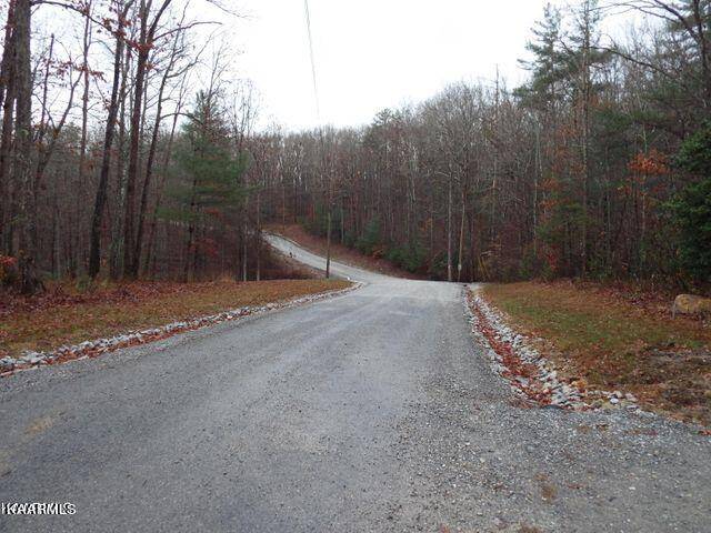 Lancing, TN 37770,Lot 56 Emory Heights Rd