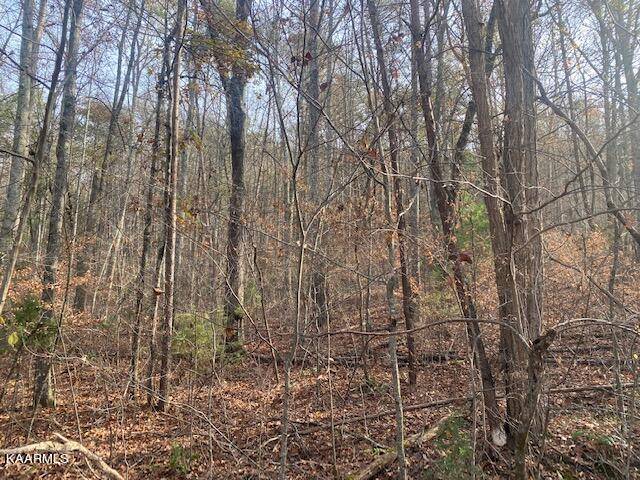 Tellico Plains, TN 37385,5 Acres Bell Rattle Village