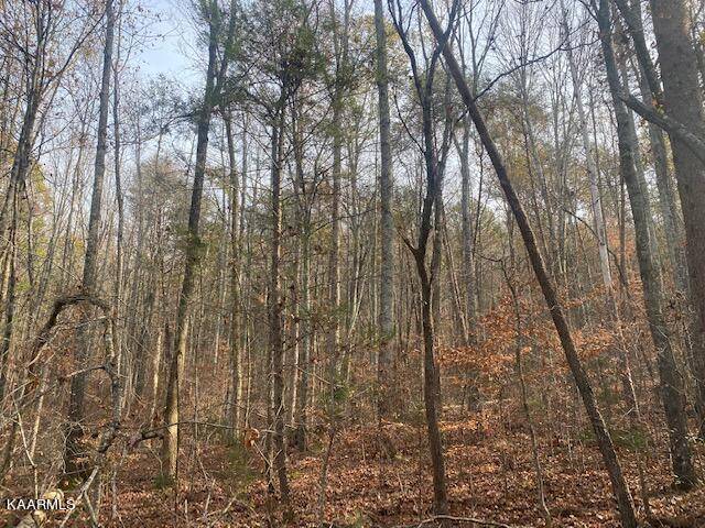 Tellico Plains, TN 37385,5 Acres Bell Rattle Village