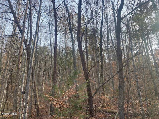 Tellico Plains, TN 37385,5 Acres Bell Rattle Village