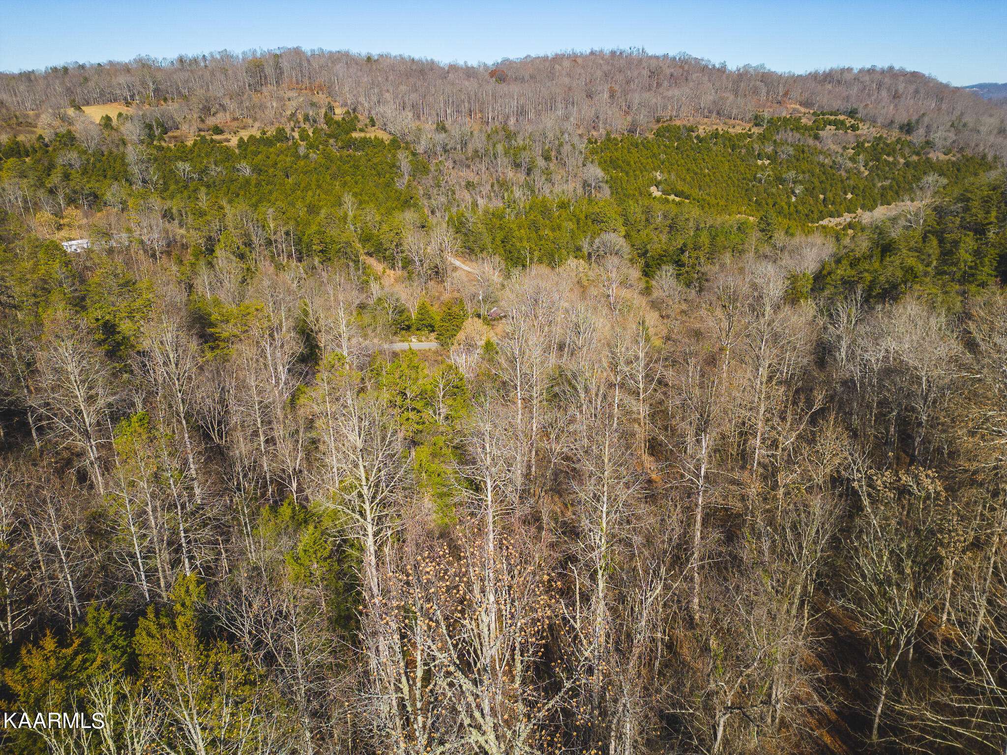 Eidson, TN 37731,0 Clinch Mountain Rd