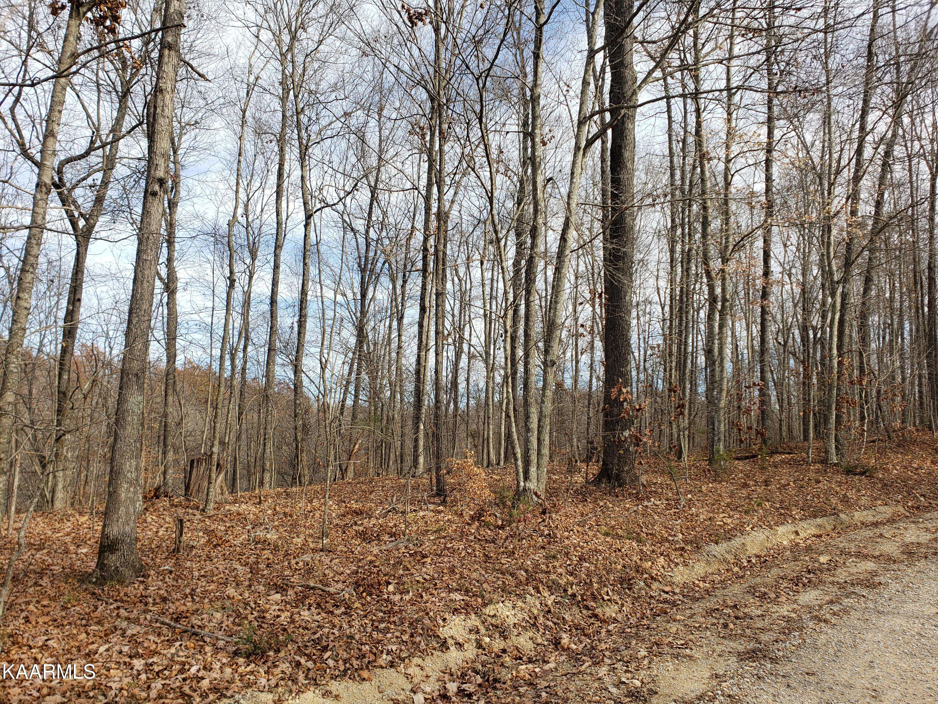 Hilham, TN 38568,Lot 17 Western Way