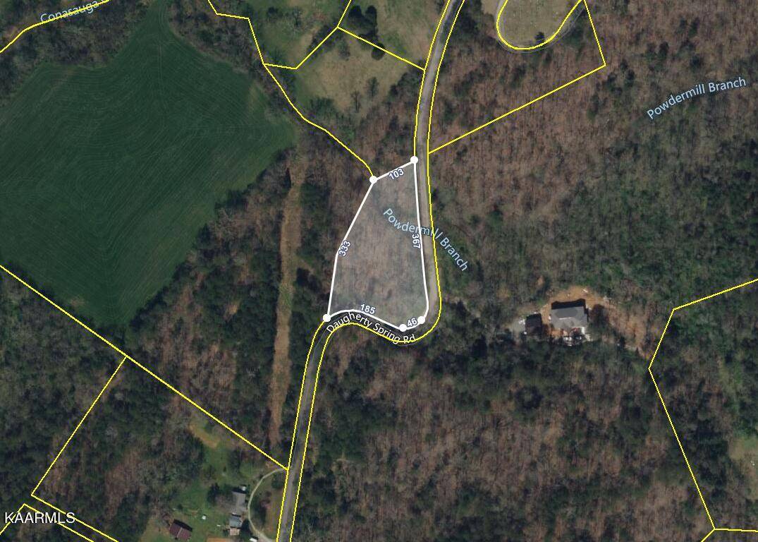 Tellico Plains, TN 37385,TBD Daugherty Springs Rd