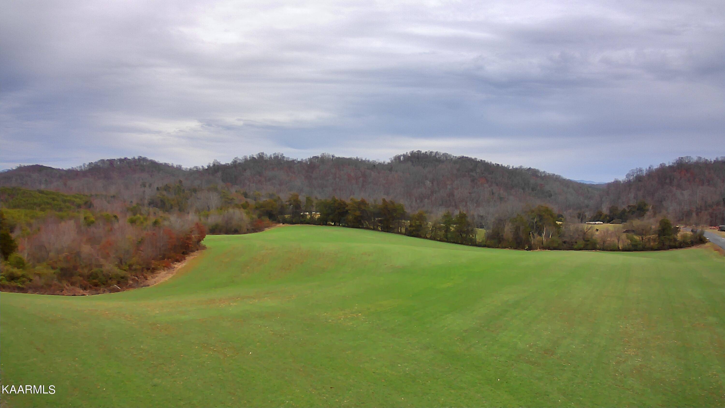 Madisonville, TN 37354,LOT 2 Ballplay Rd