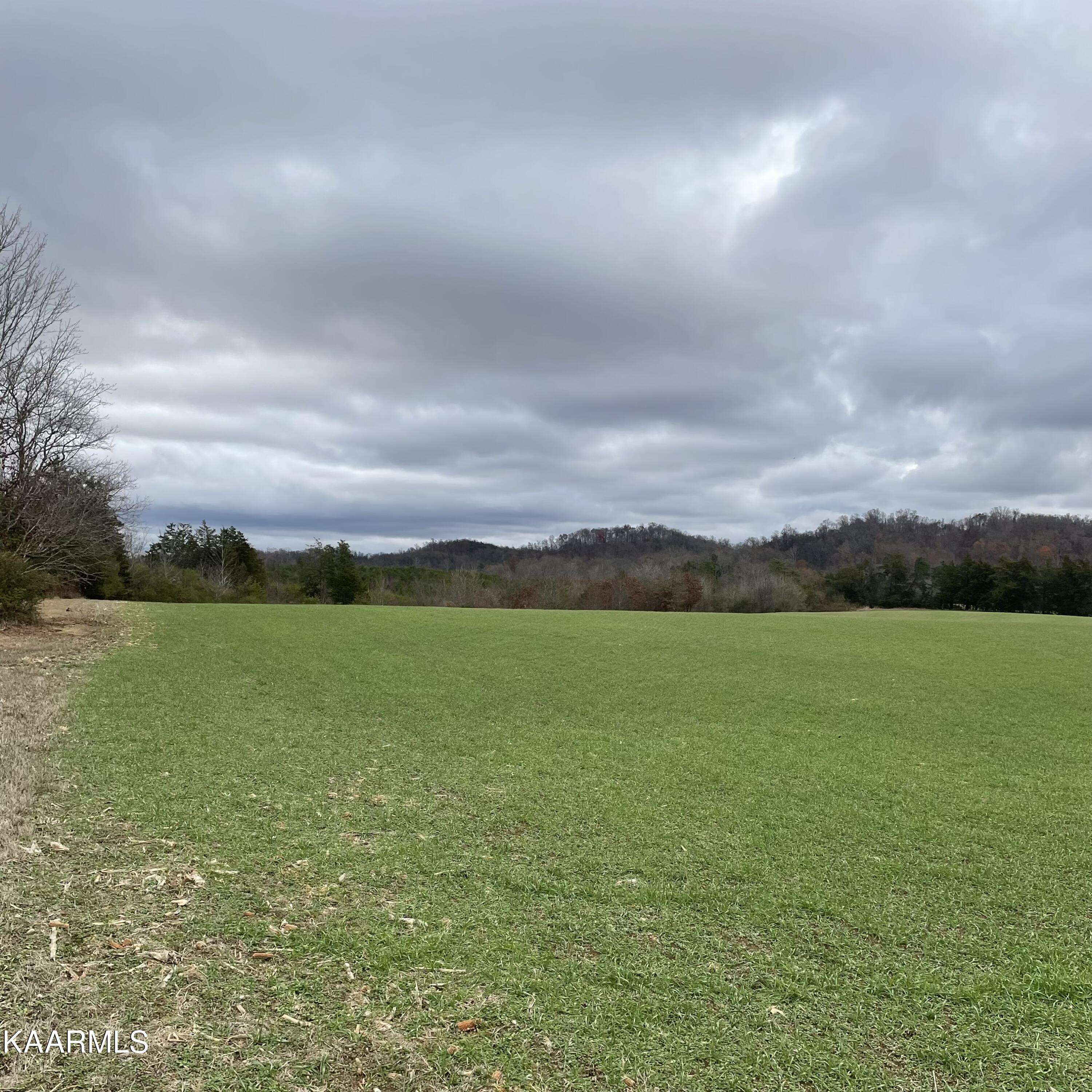 Madisonville, TN 37354,LOT 2 Ballplay Rd