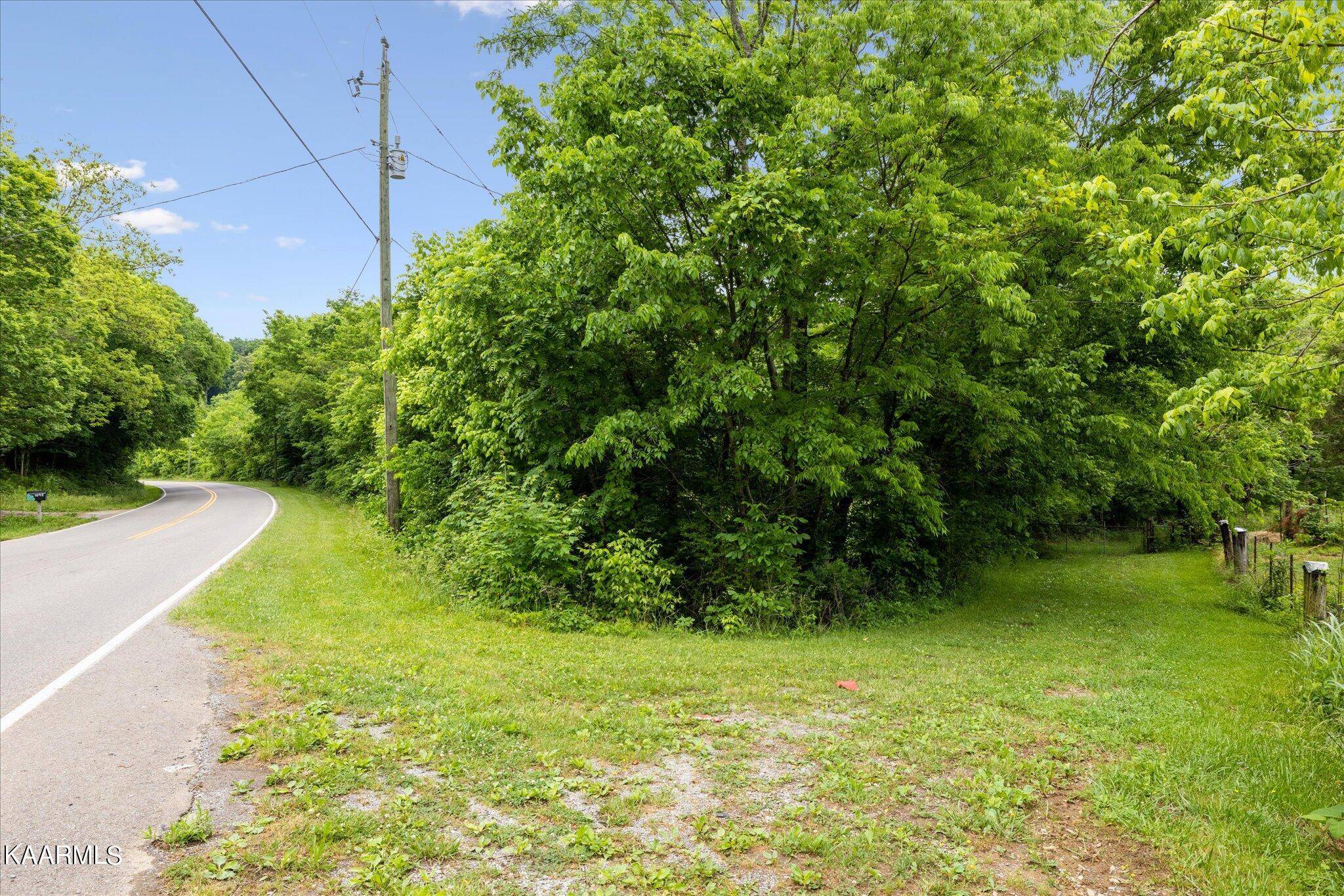 Seymour, TN 37865,Wye Drive Tract 2