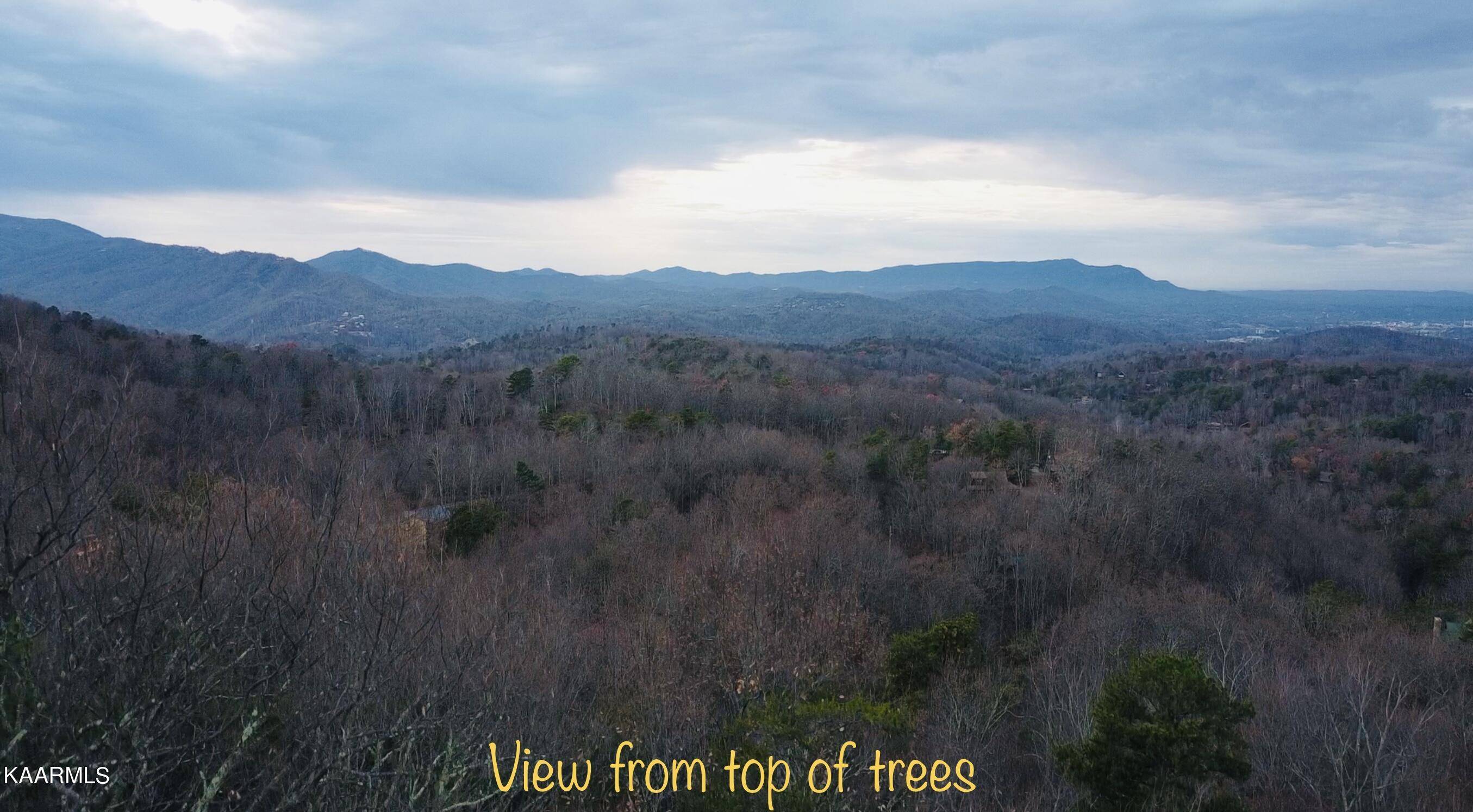 Sevierville, TN 37876,Lot 666 Battle Top Rd