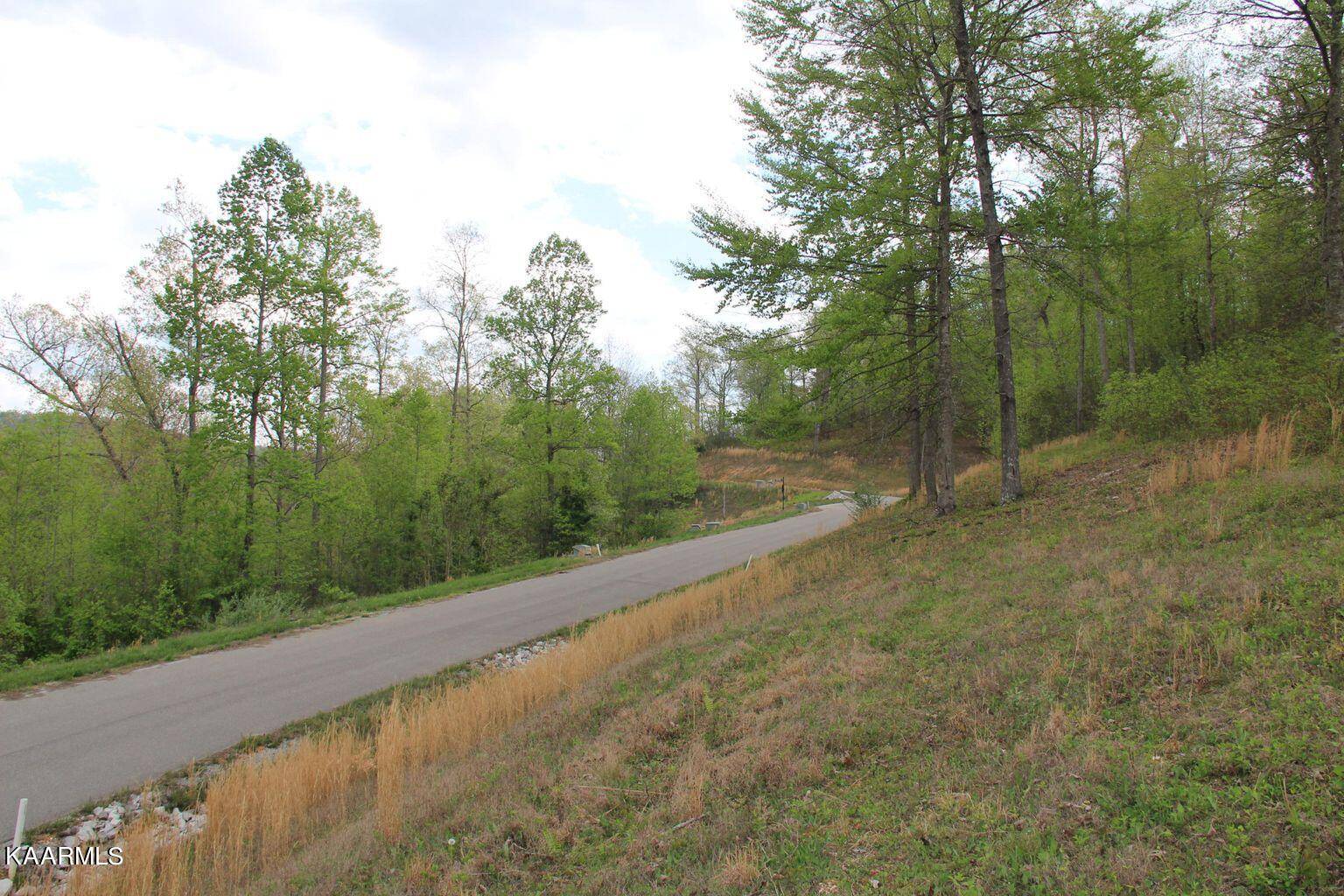 Lafollette, TN 37766,Lot 135 Suncrest CV