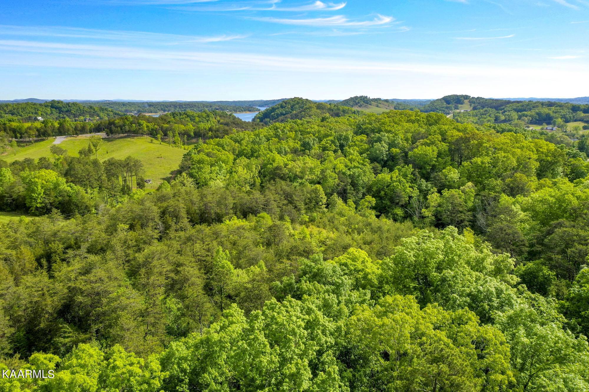 Dandridge, TN 37725,Lot 23R Sandy Ridge Rd