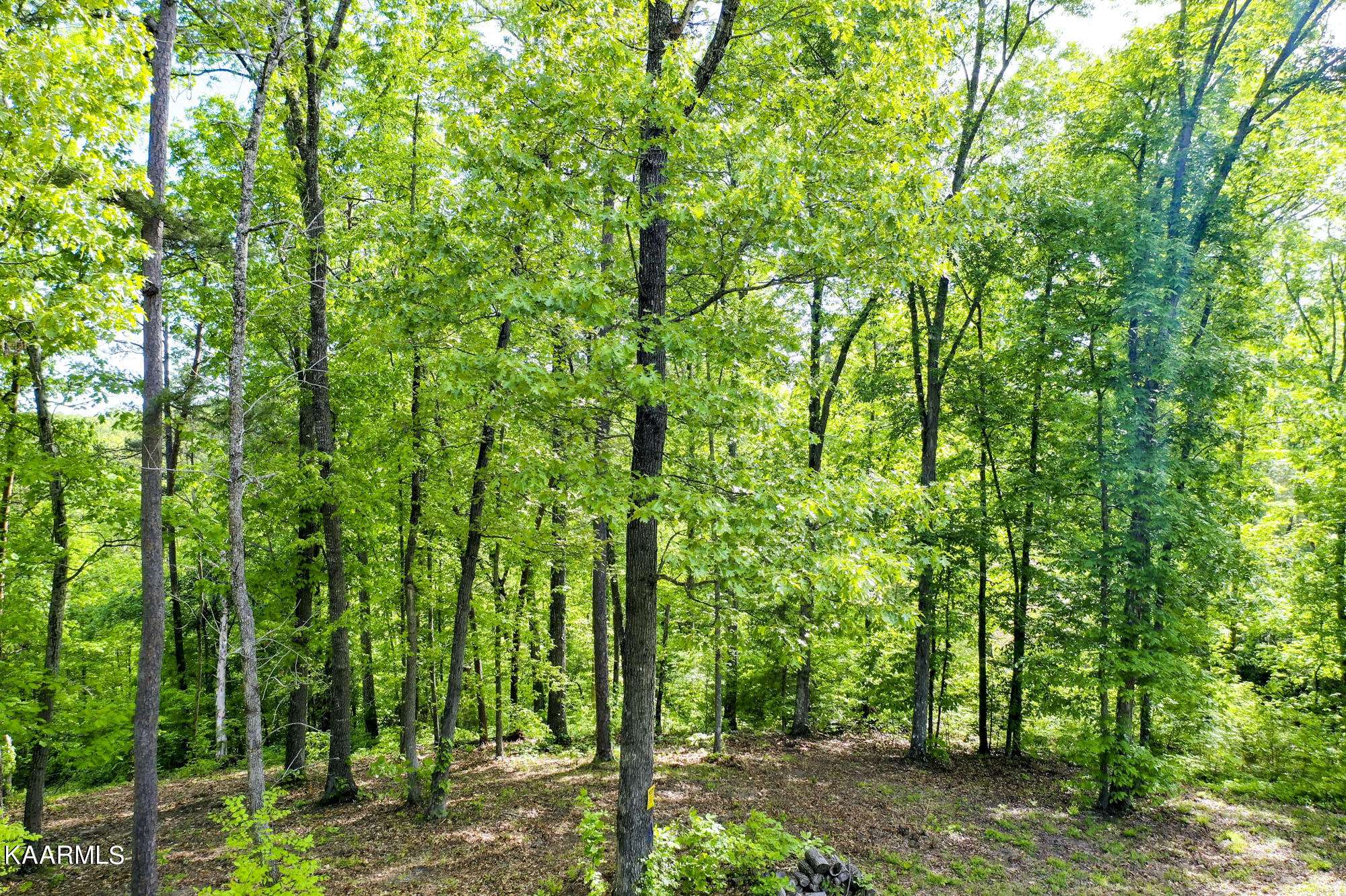 Dandridge, TN 37725,Lot 23R Sandy Ridge Rd