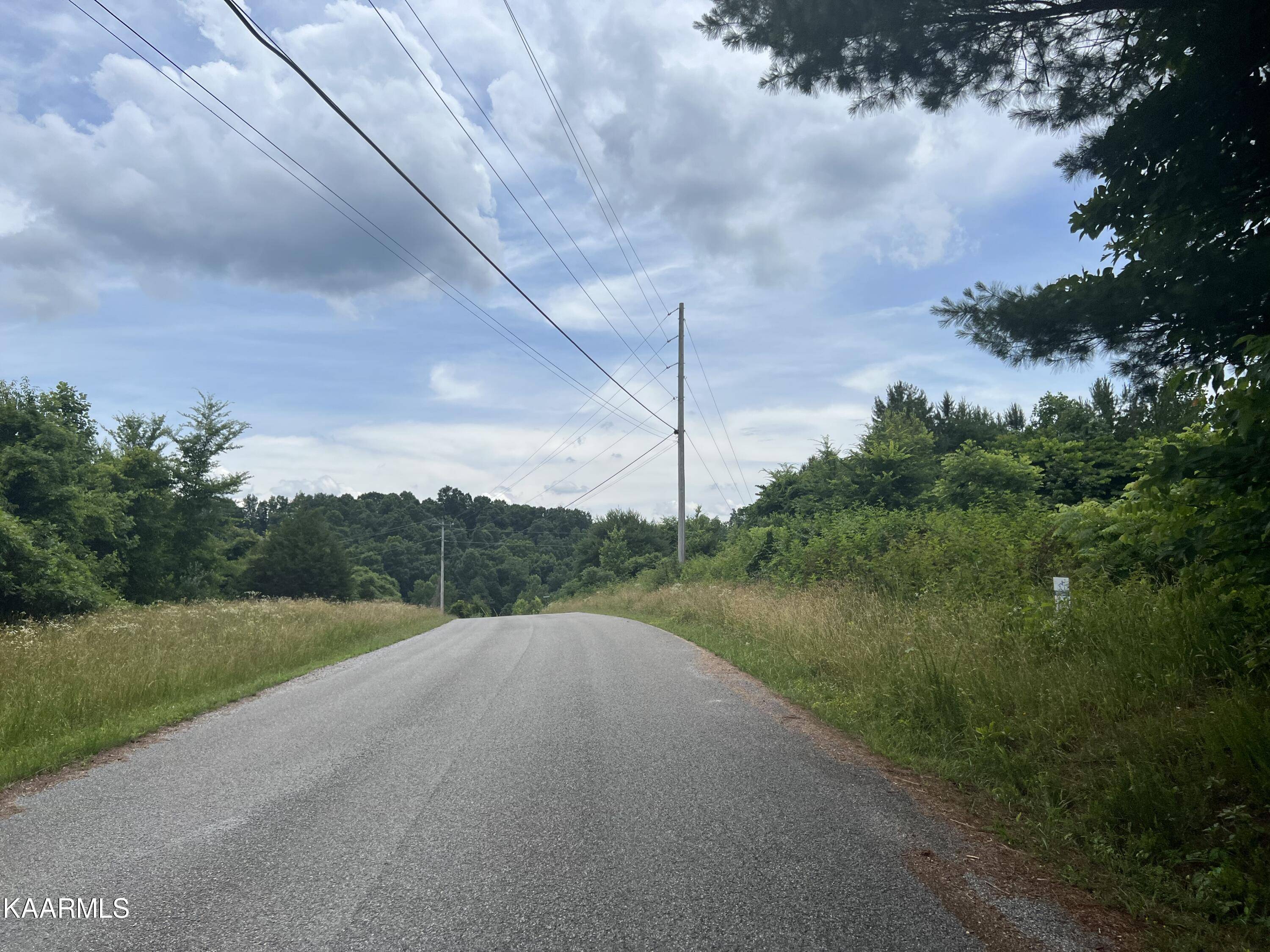 Speedwell, TN 37870,lot 65 Saddleridge LN