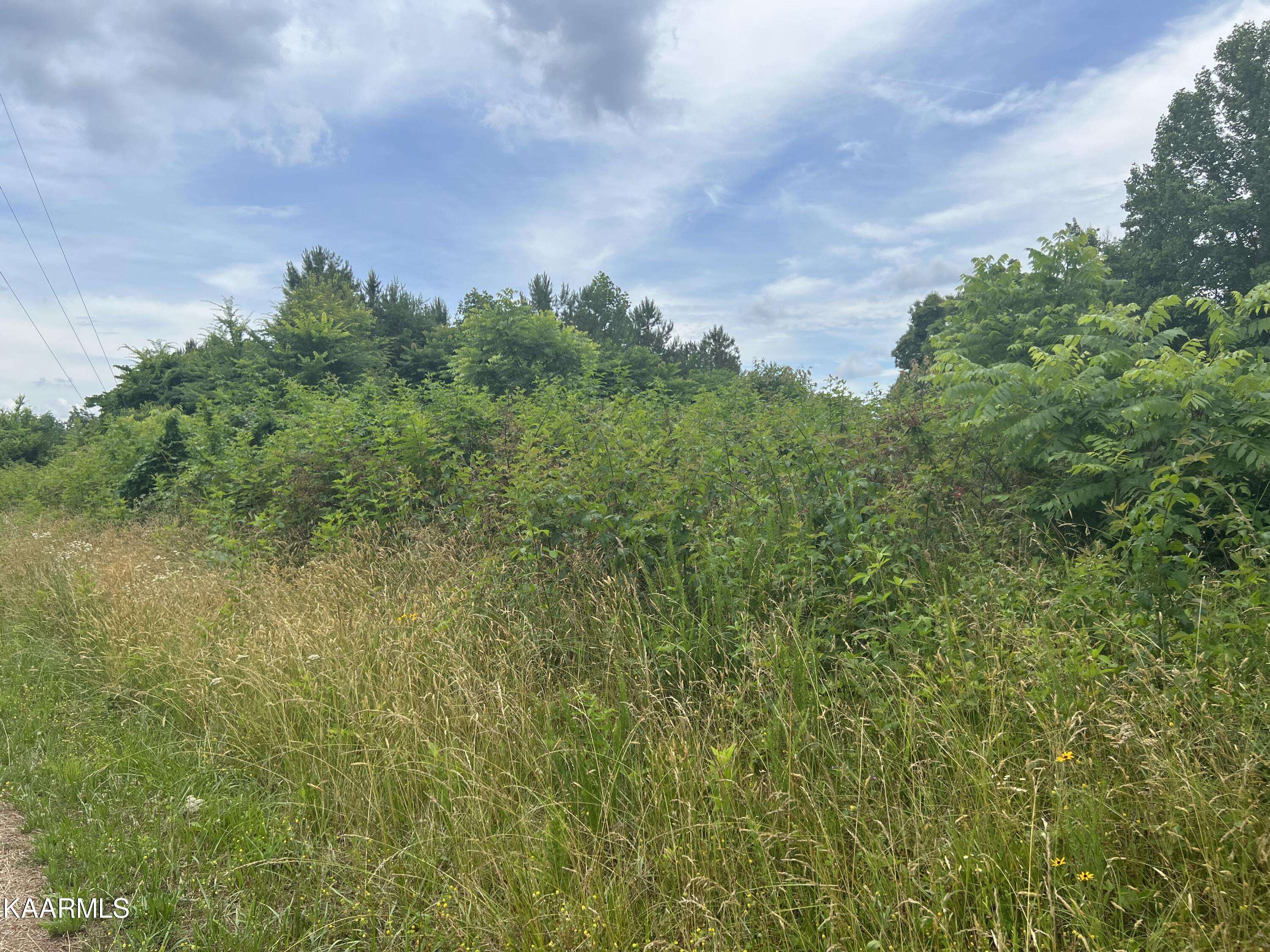 Speedwell, TN 37870,lot 65 Saddleridge LN