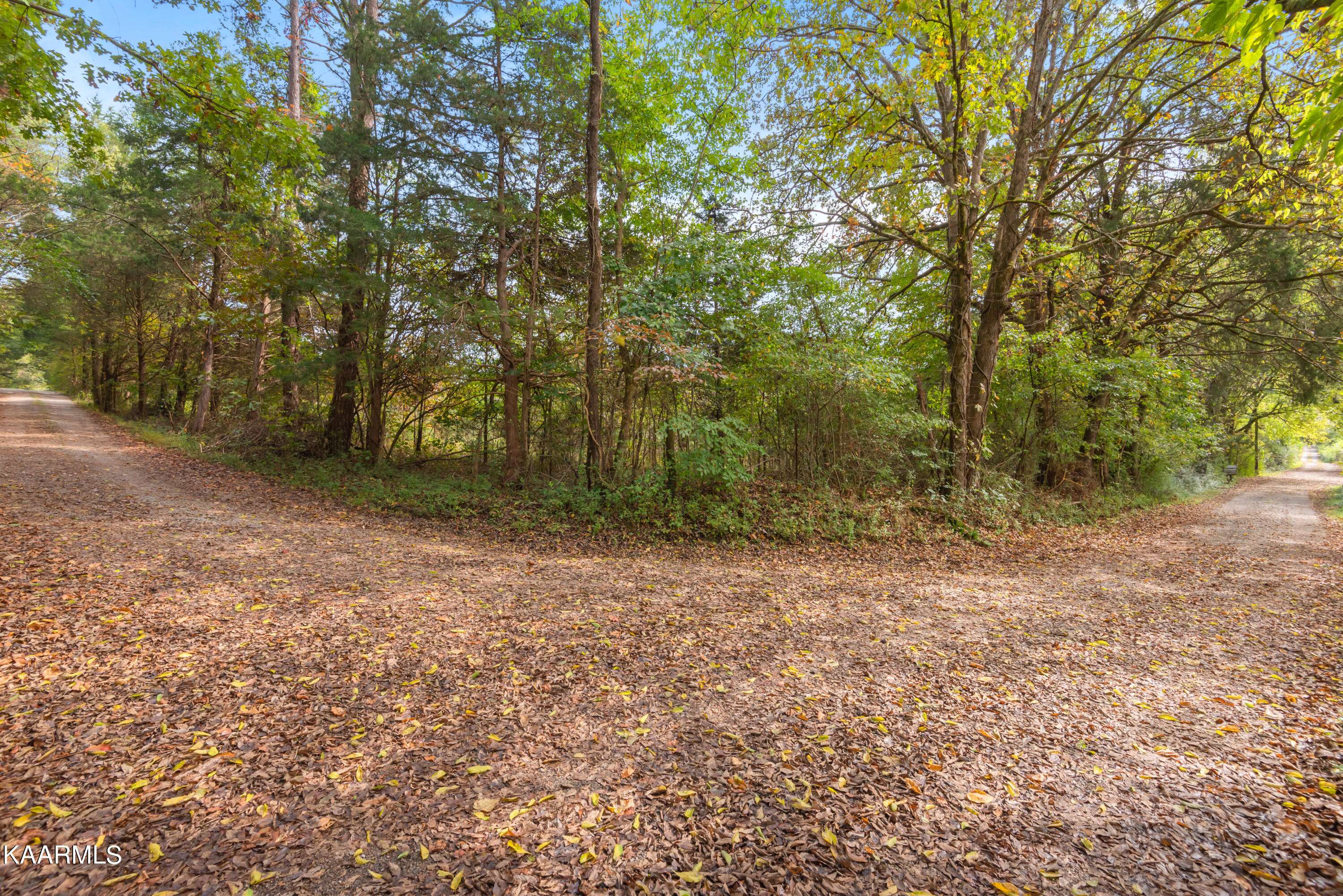 Rockwood, TN 37854,00 Rodgers LN