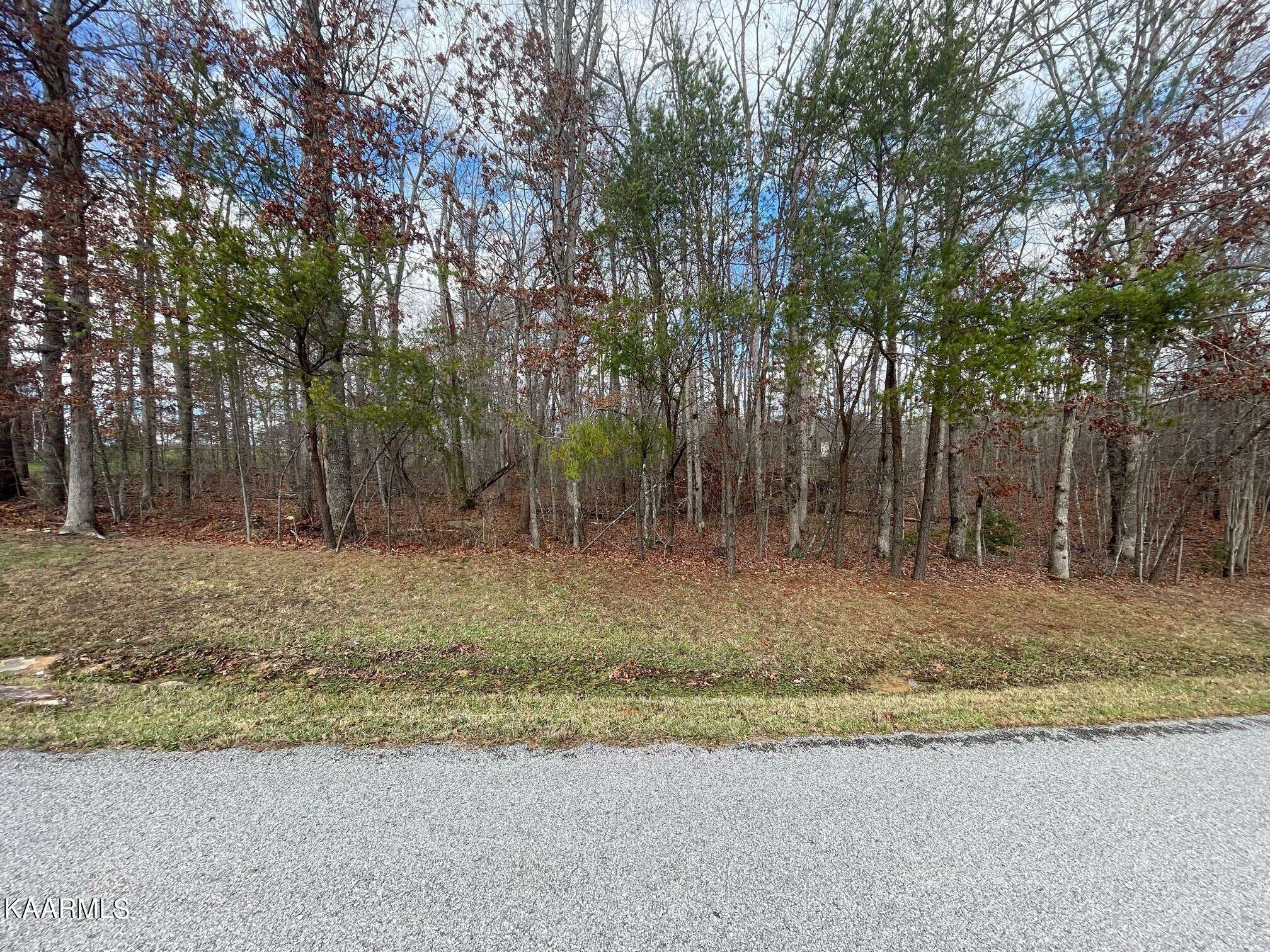 Crossville, TN 38571,Golf Club LN