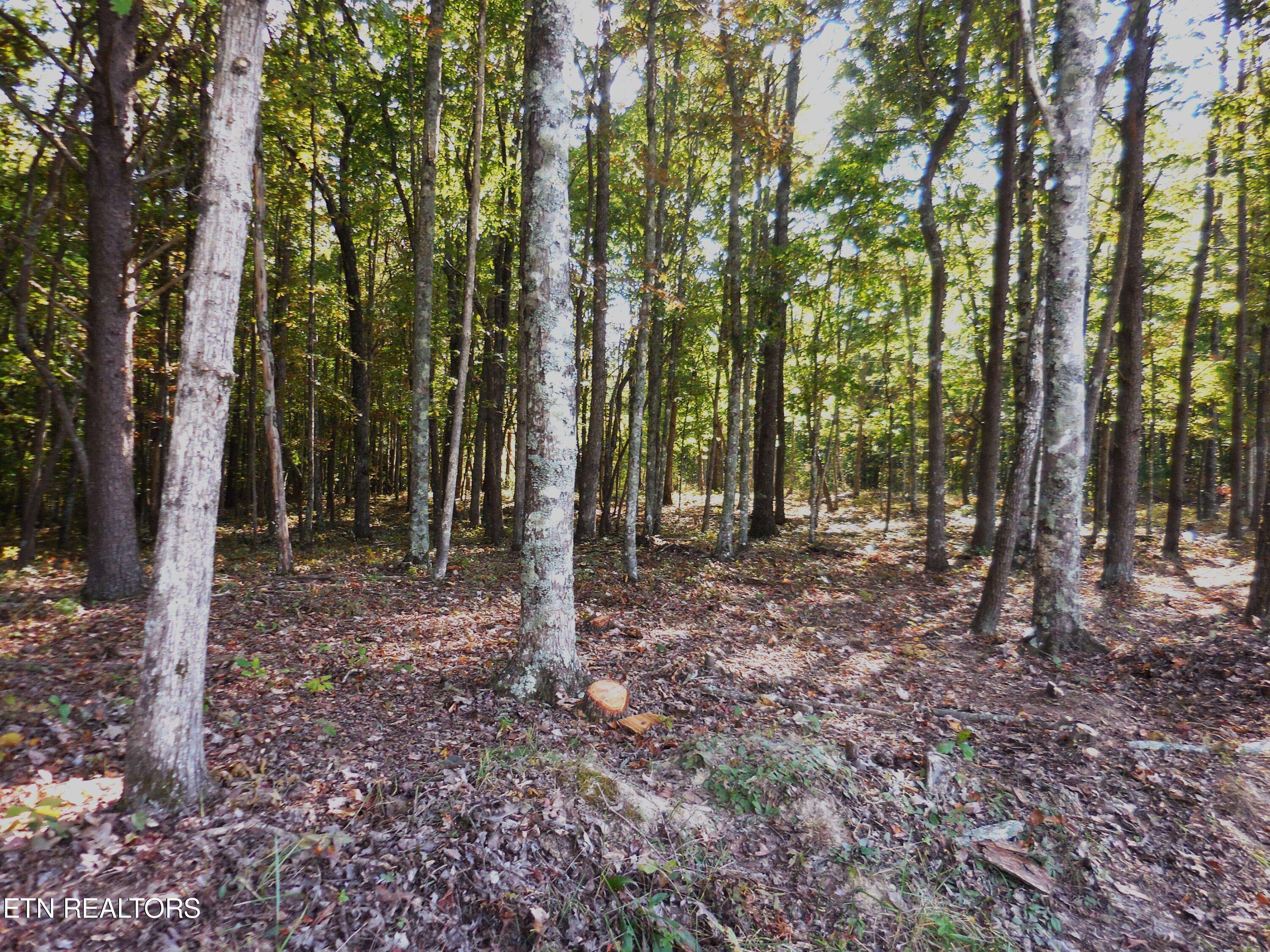 Crossville, TN 38572,Lot 29 Grapevine Rd