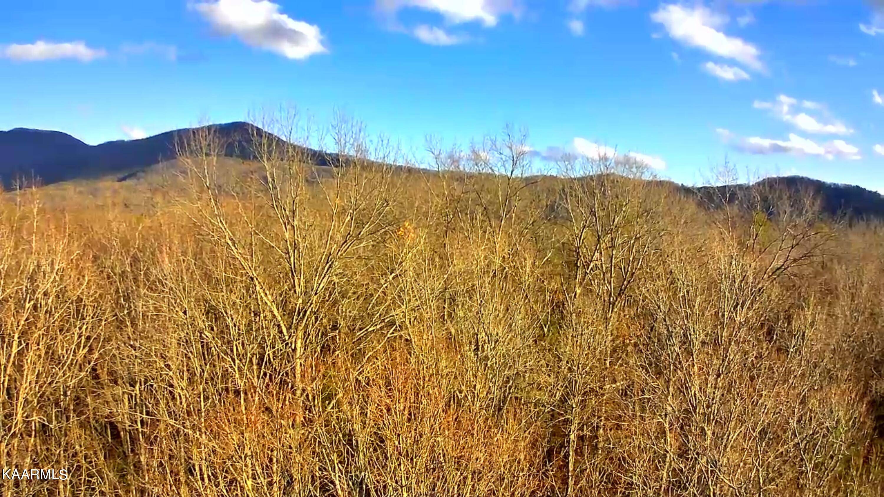 Tellico Plains, TN 37385,174 Goldminers LN