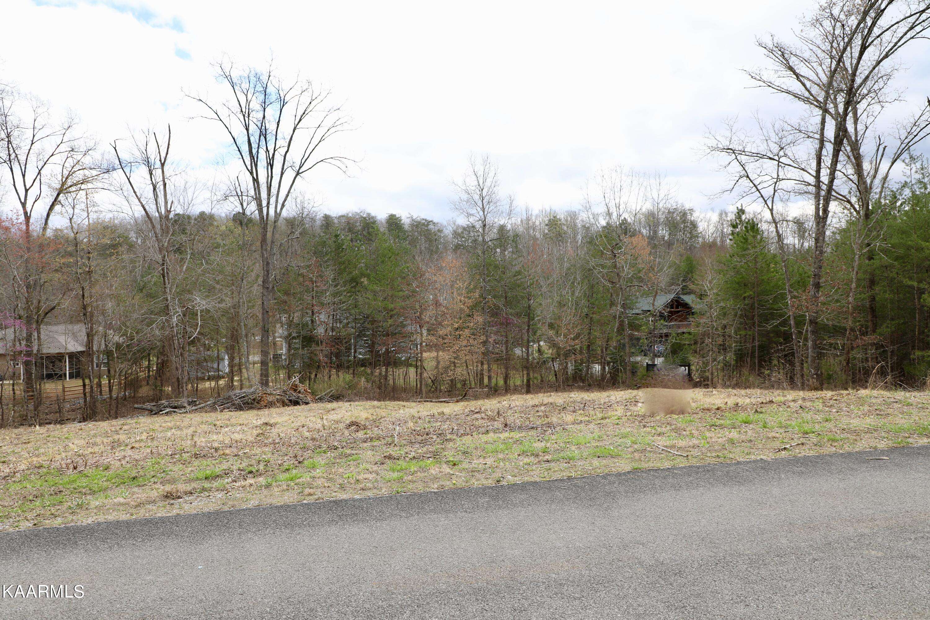 Madisonville, TN 37354,Pine Loop DR