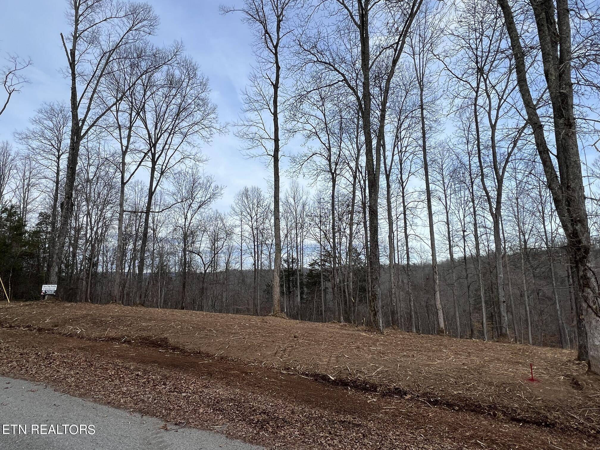 Speedwell, TN 37870,Saddleridge DR