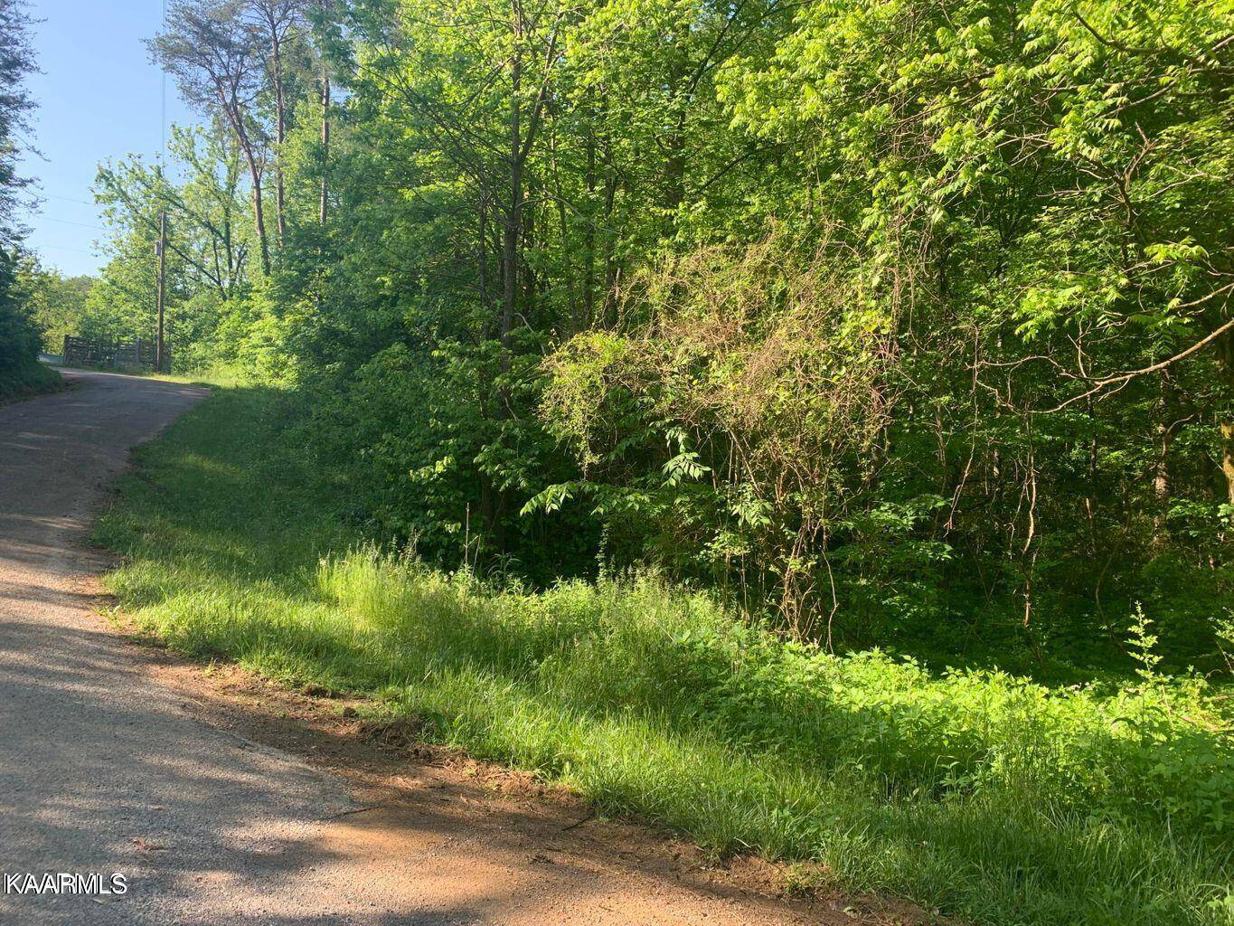 Tellico Plains, TN 37385,Mountain Rd